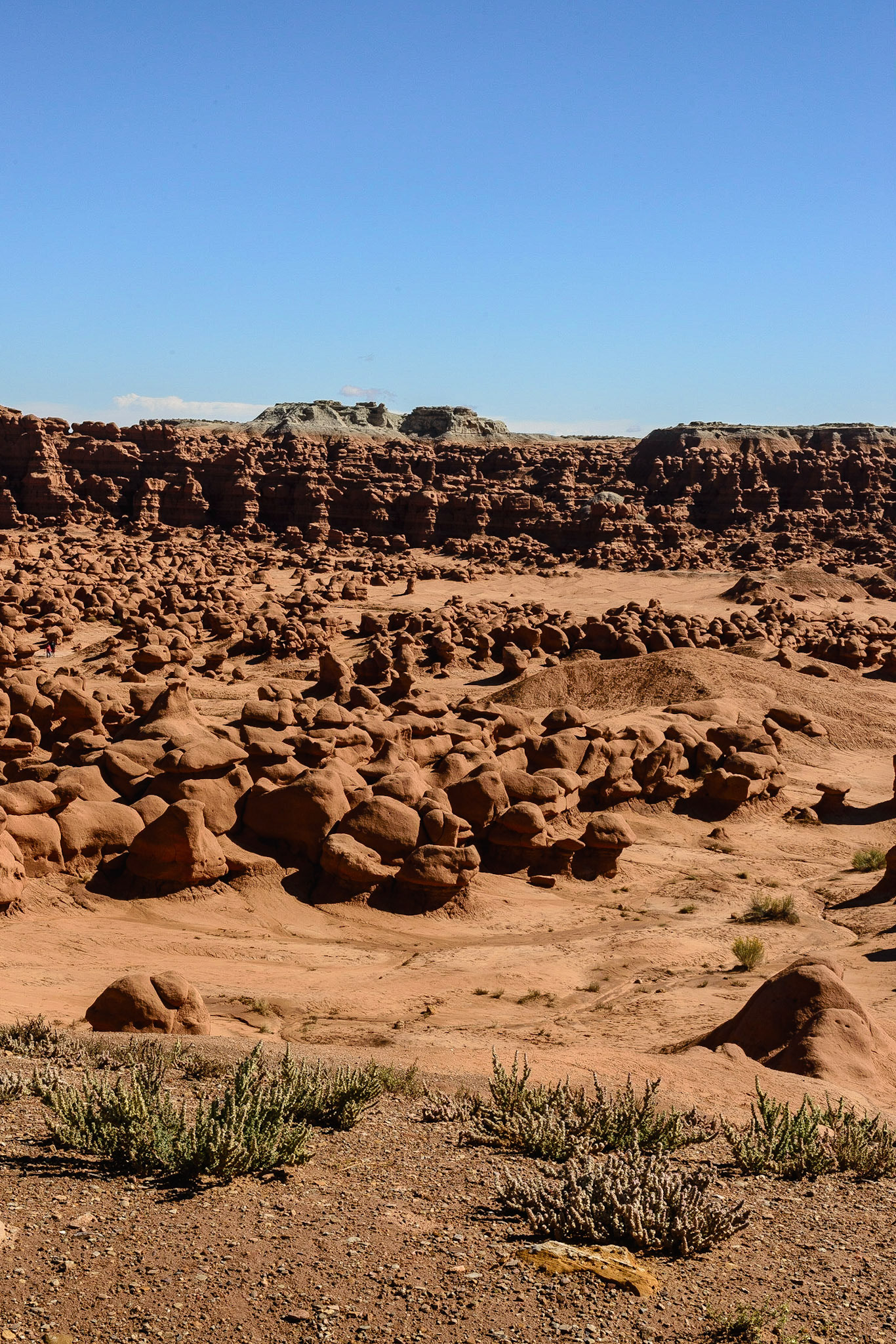 DTGD21893.dngThe fascinating hoodos of of Gobblin State Park.