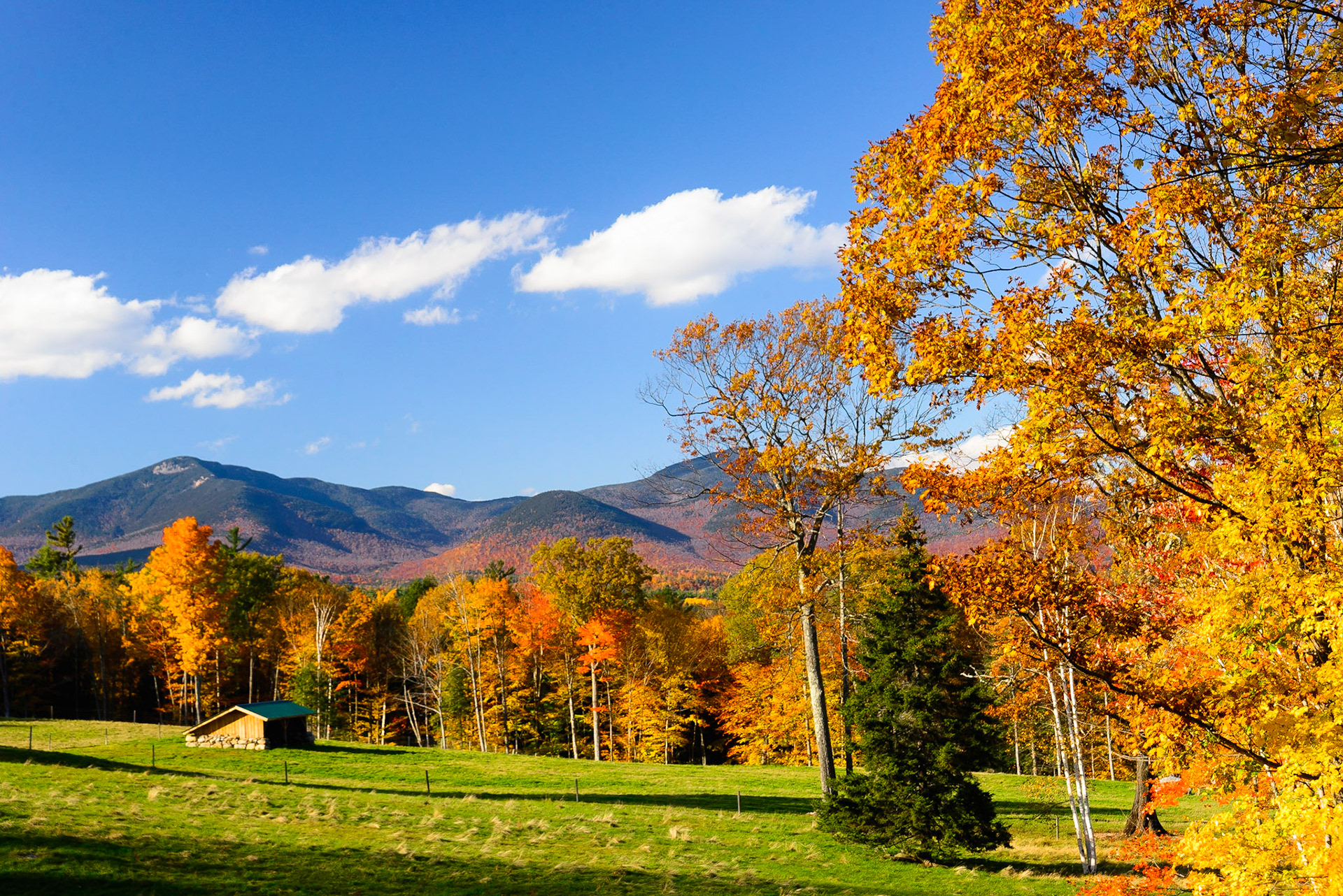 DTGD16521 Farm on Cleveland Hill Road