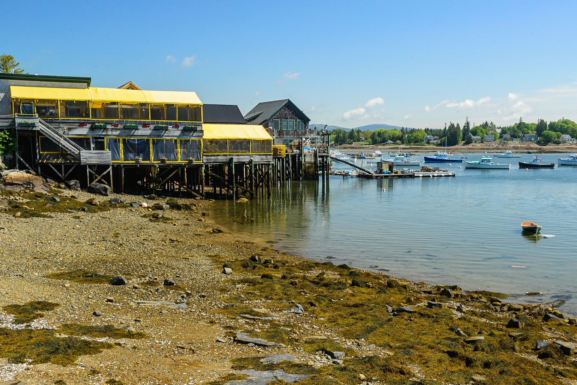 DTGD20382 Bass Harbor