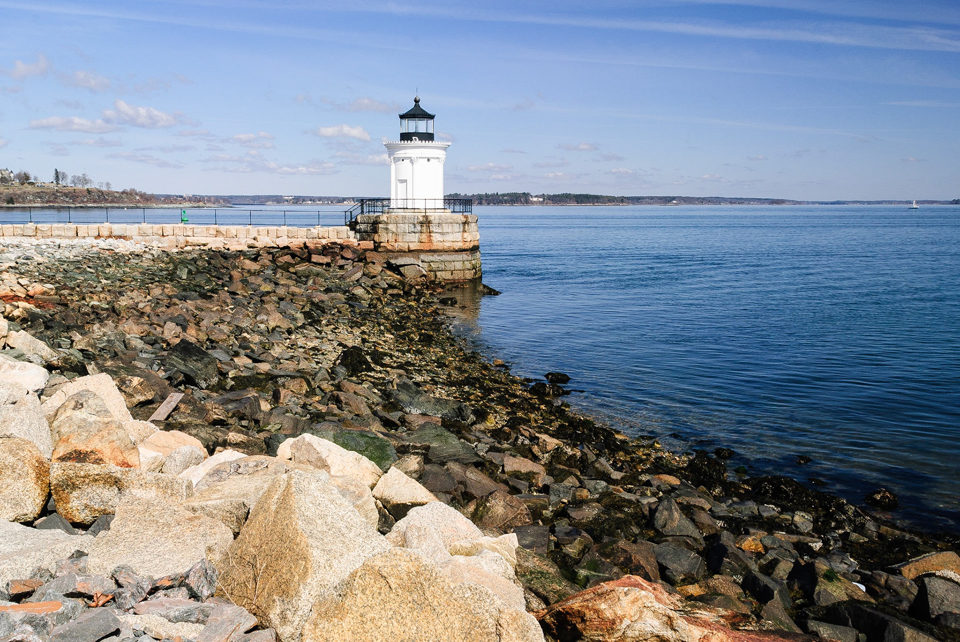 DTGD11824 Bug Light