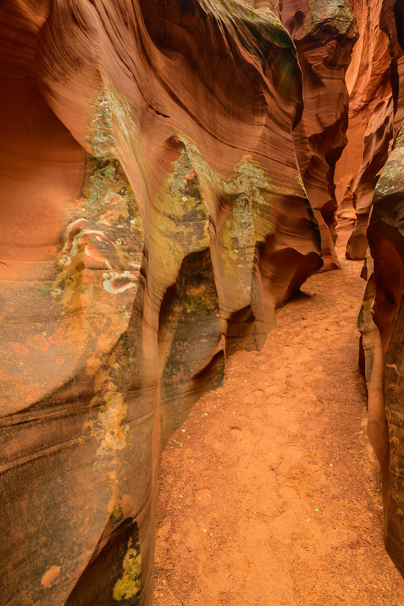 DTGD22710 Secret Canyon