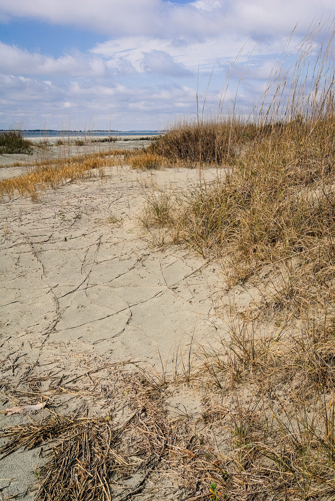 DTGD14481 Beach @ Sullivan's Island, SC