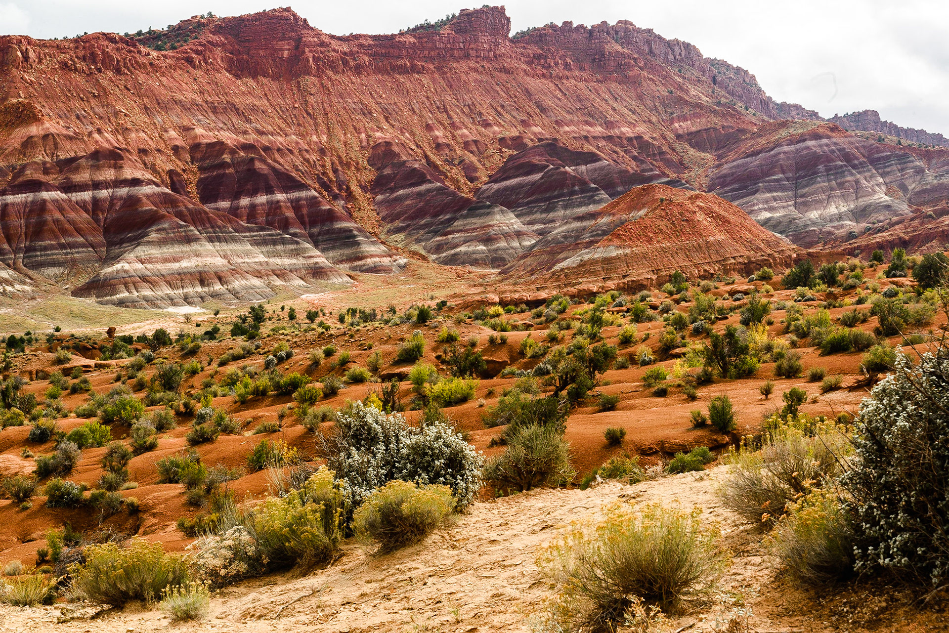 DTGD22525 Chinle formations in Paria, UT