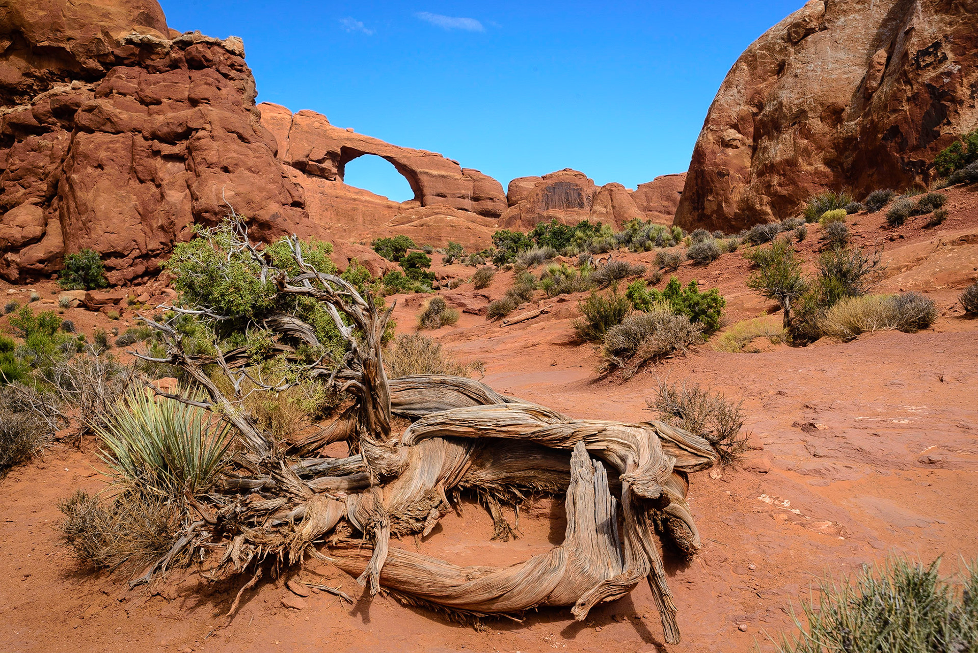 DTGD21570 Skyline Arch