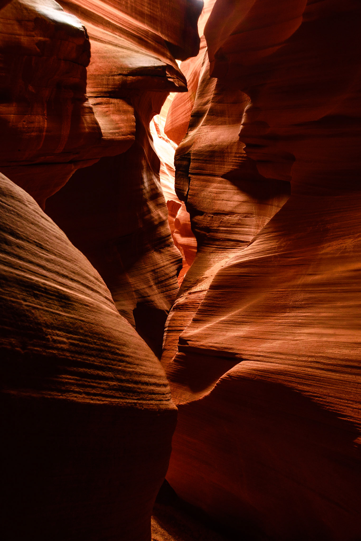 DTGD22667 Secret Canyon