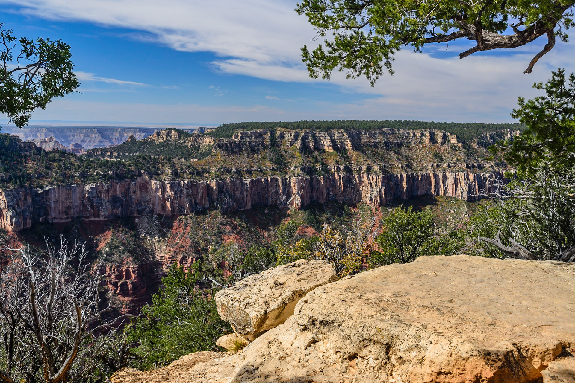 DTGD22382 Grand Canyon, North Rim