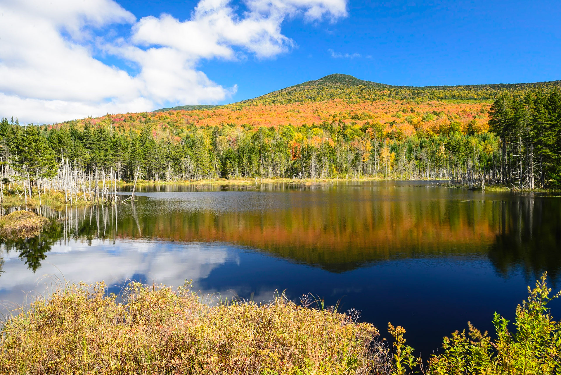 DTGD15657 Mount Deception Reflection, 2013
