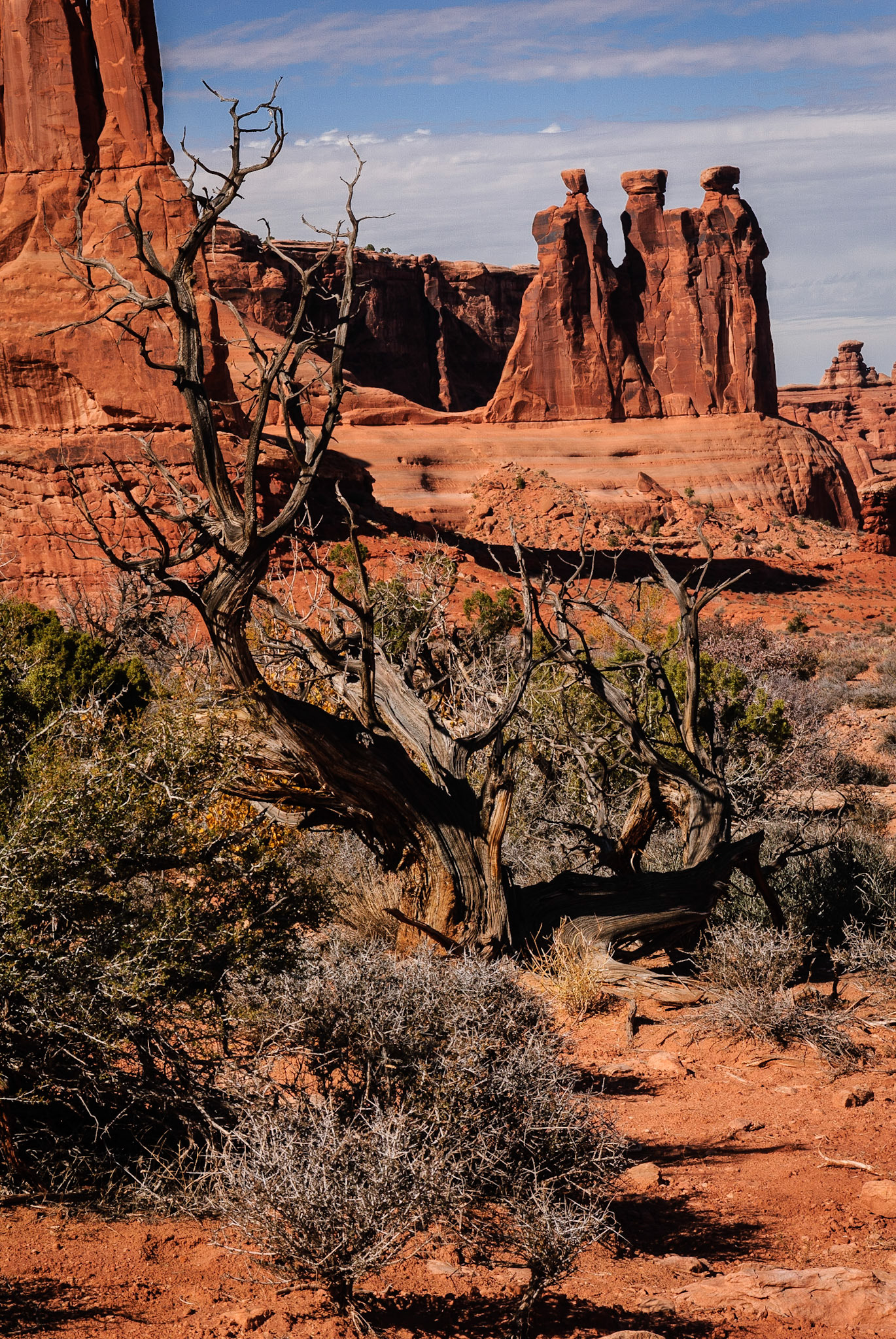 DTGD09549 Three Gossips, Arches Nat'l Park