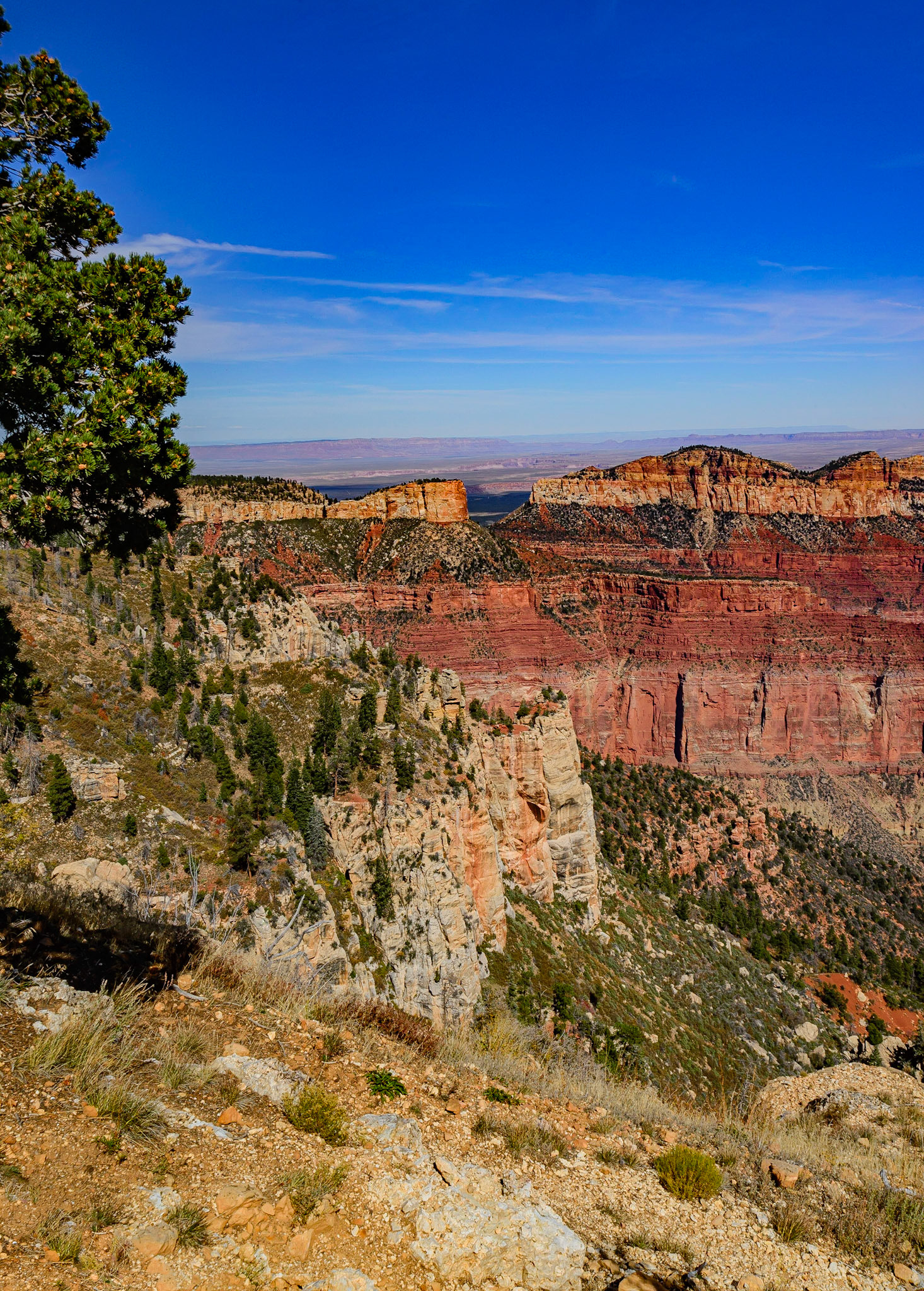 DTGD22392 Grand Canyon, North Rim