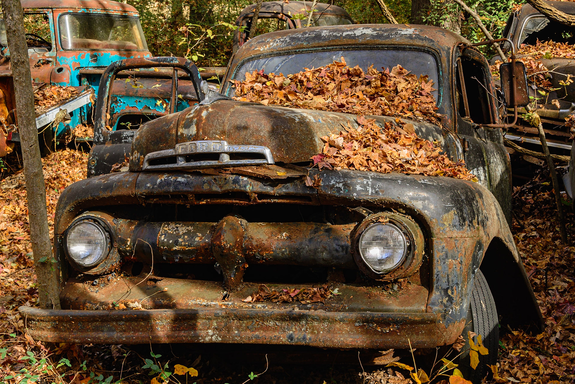DTGD25773-Old Ford