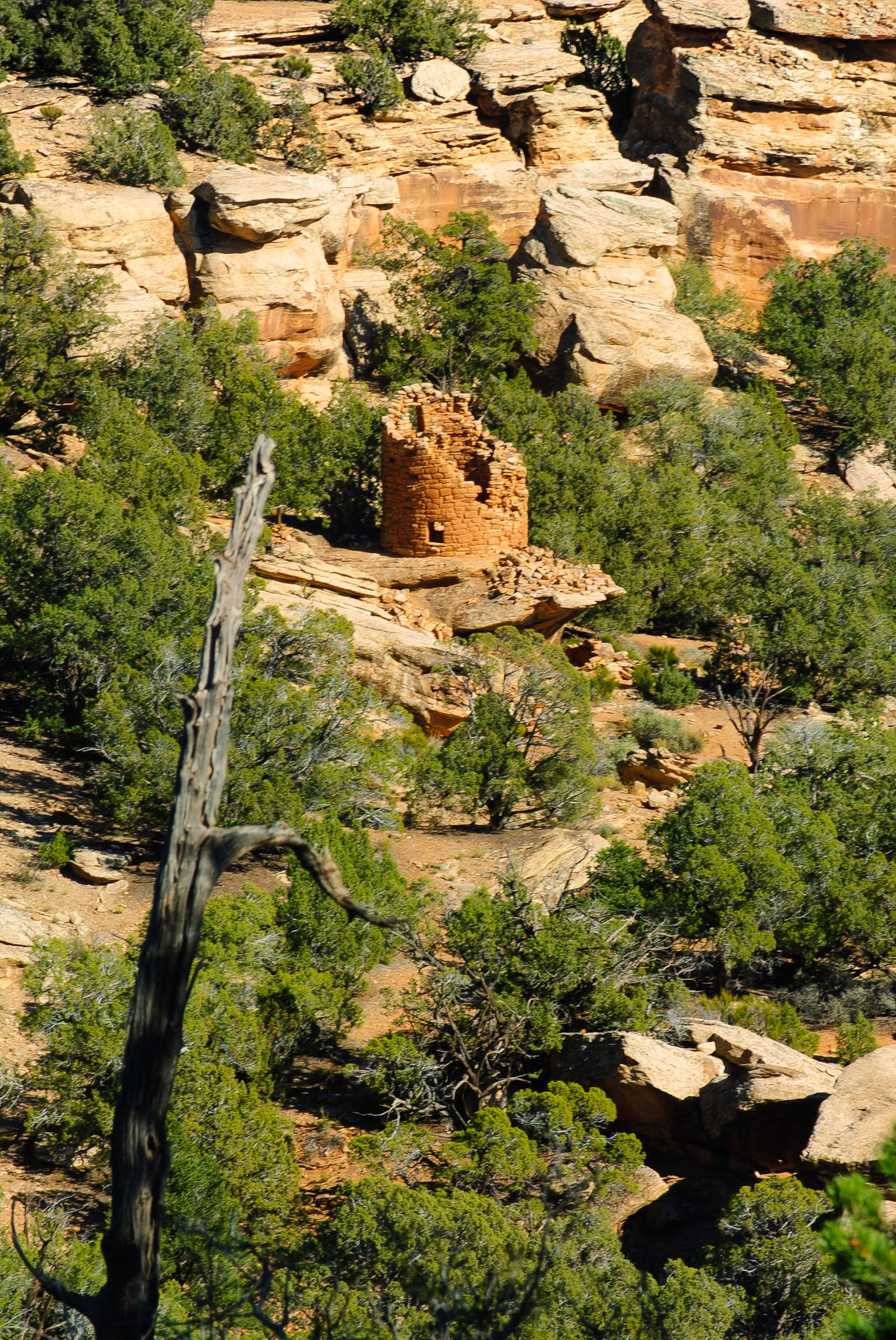 DTGD09286 Painted Hand Pueblo, CO