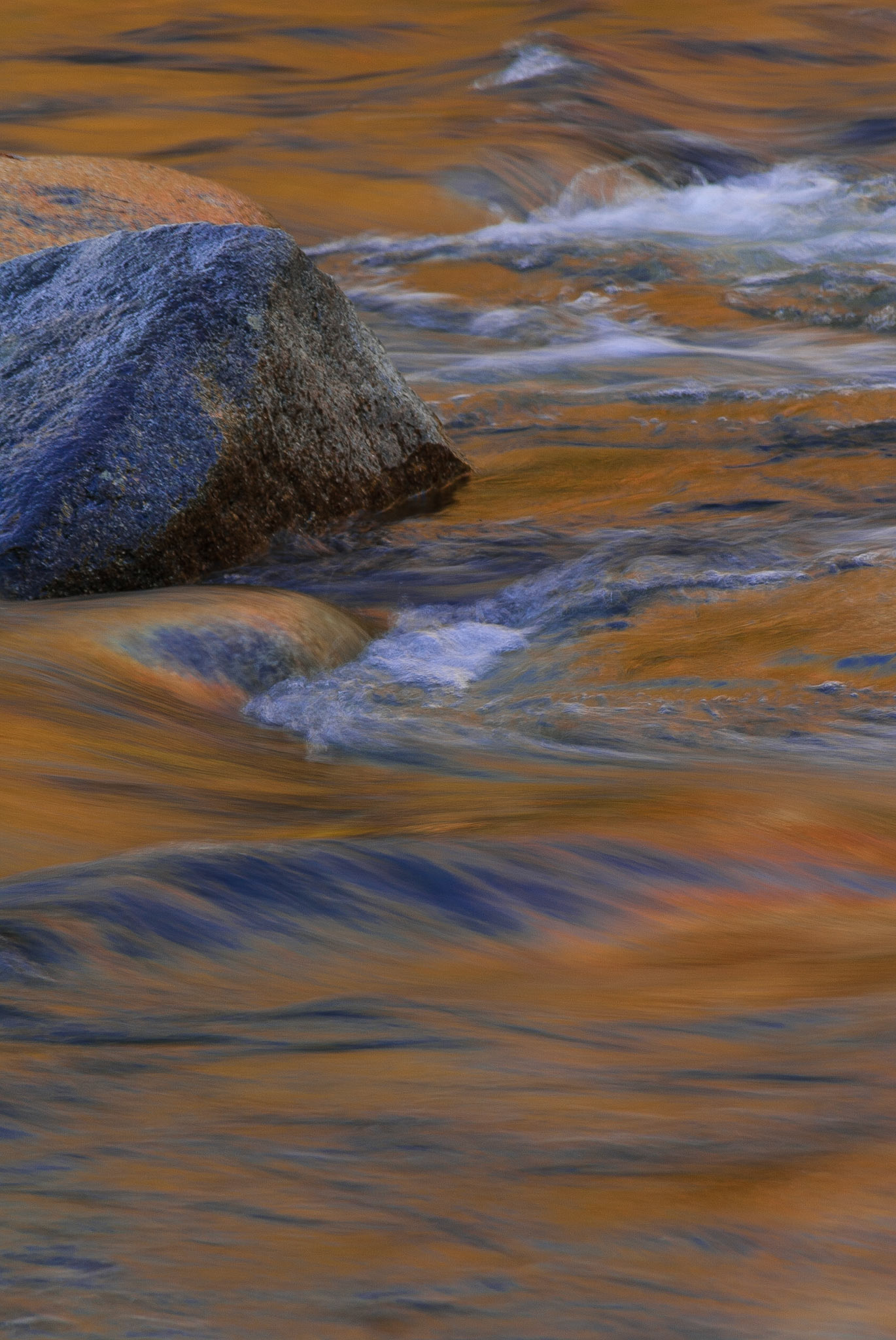 DTGD08611 Fall Reflections in Swift River