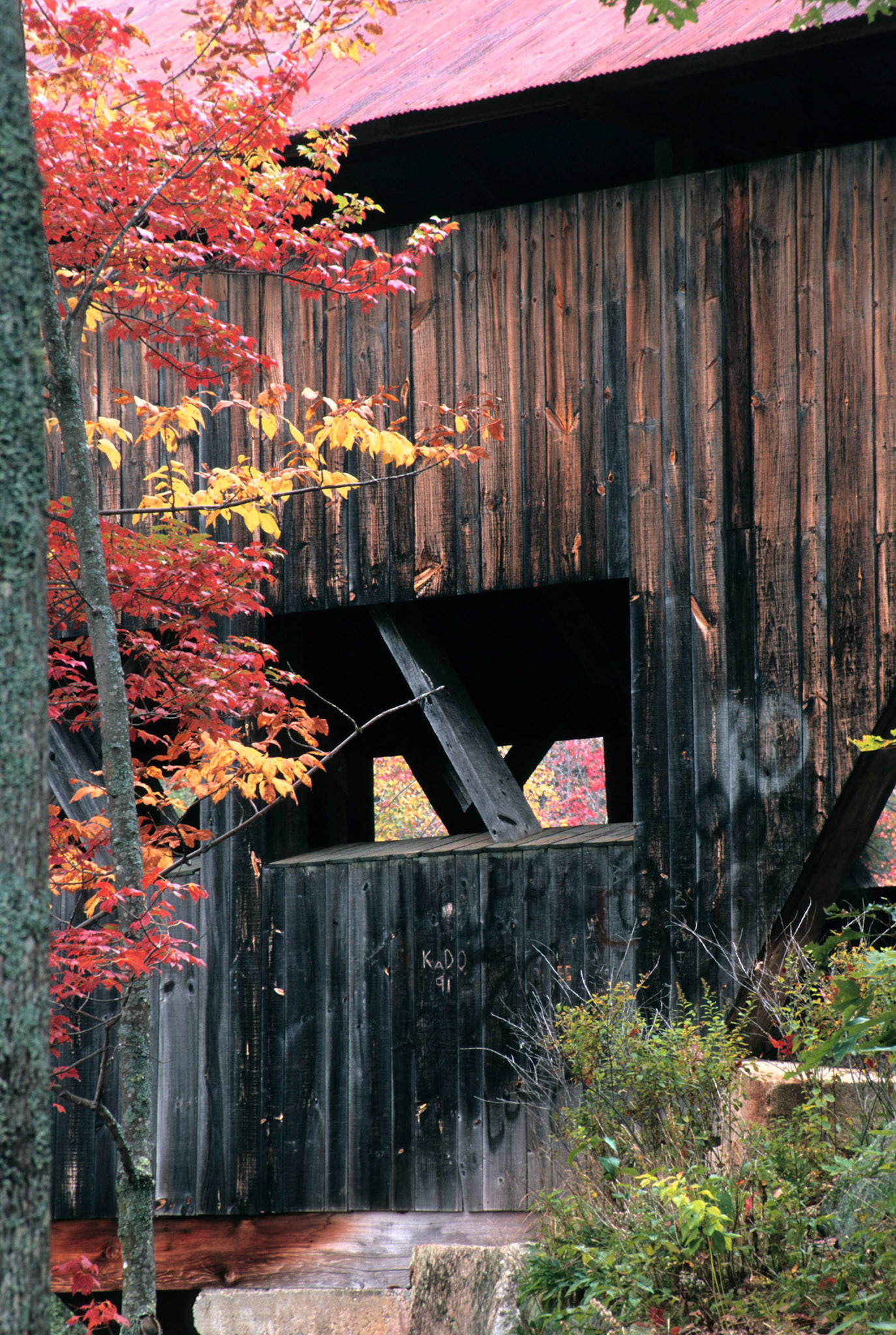 DTG00129 Albany Covered Bridge  Fall