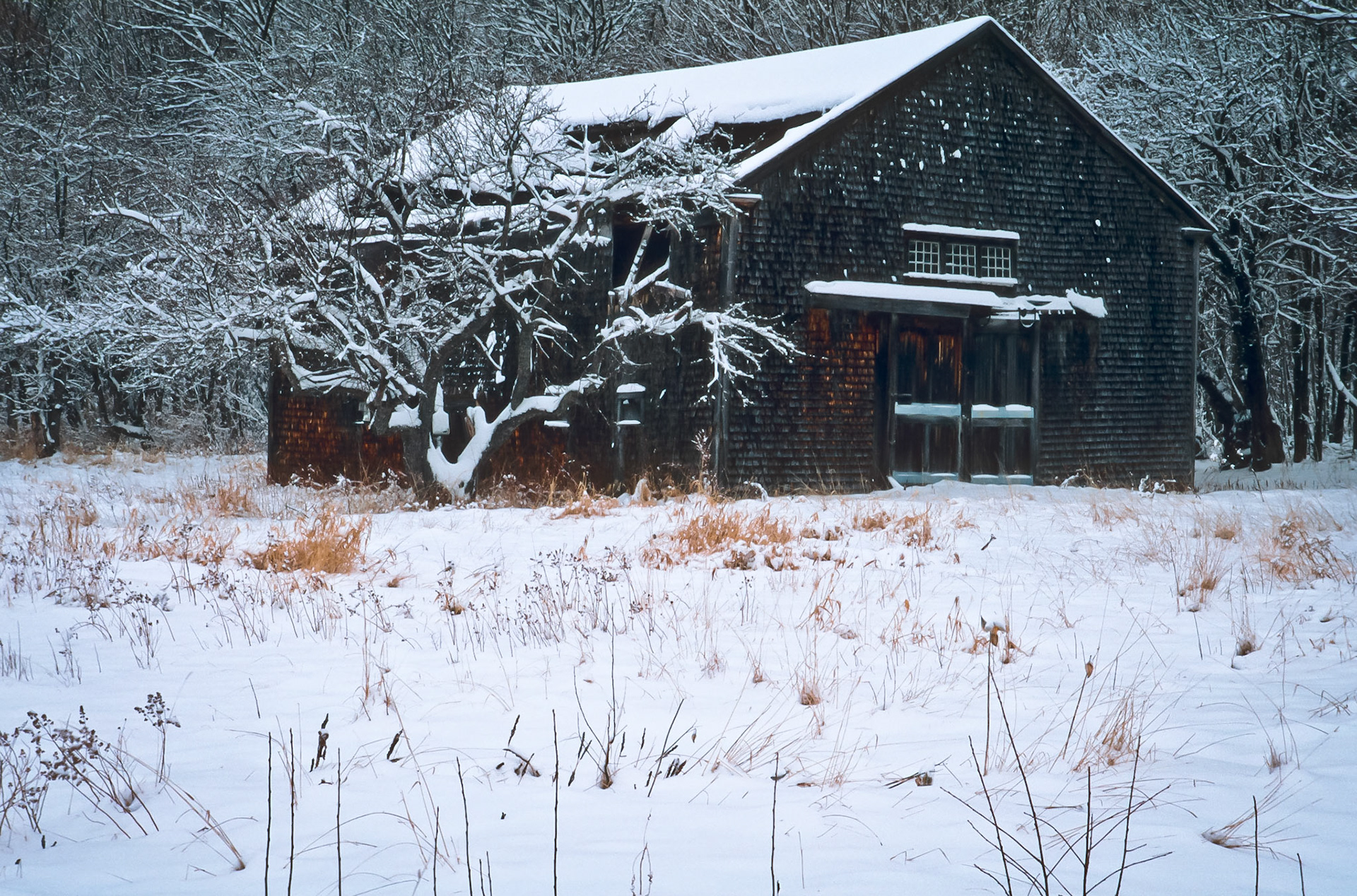 DTG04668 Old Barn in Winter