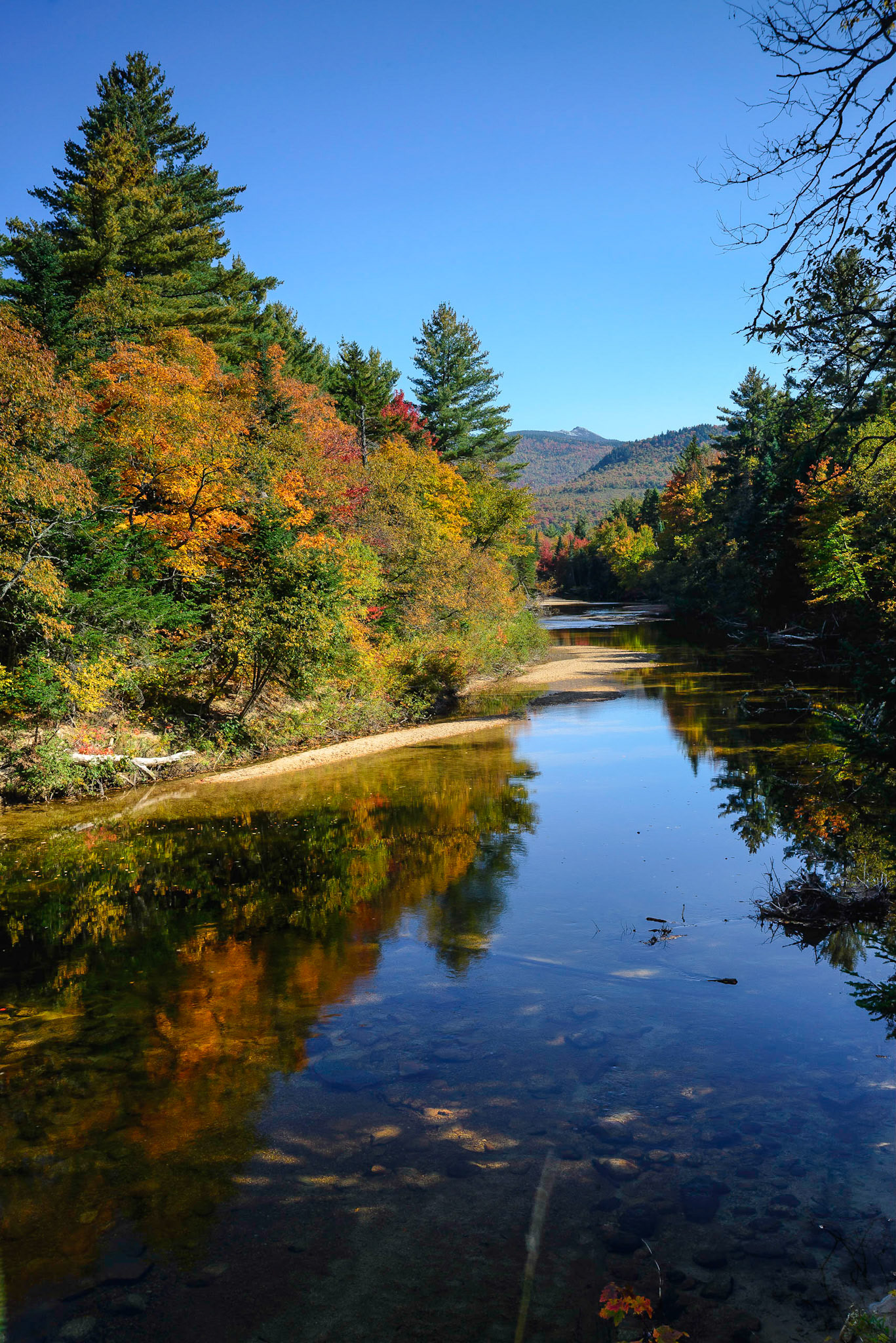 DTGD18350 Late Afternoon on Swift River