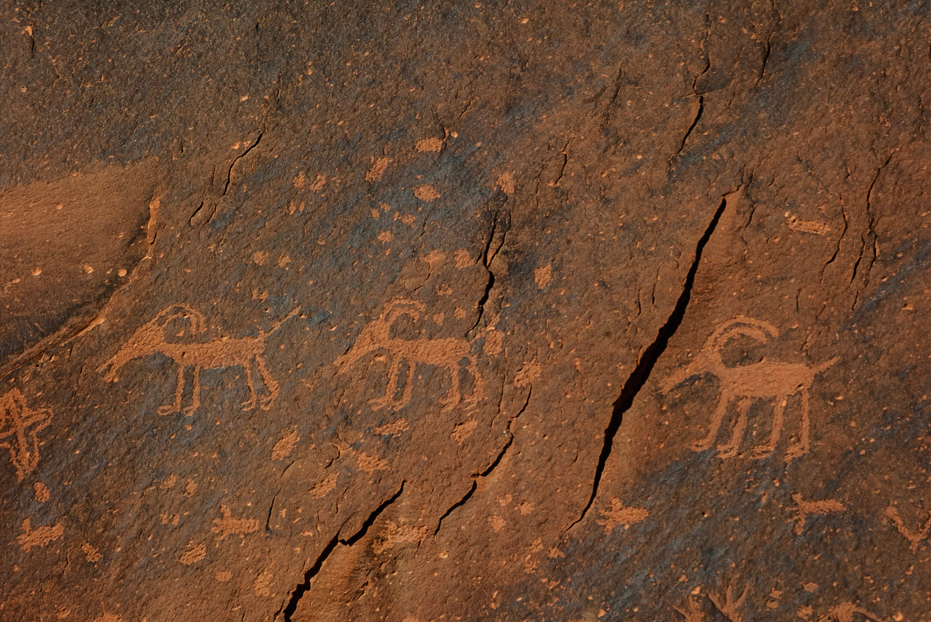 DTGD09460 Petroglyph