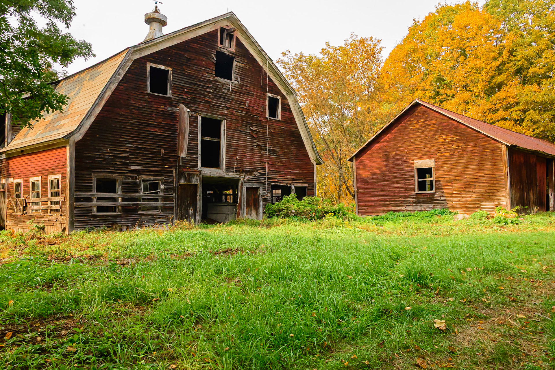 DTGD33551 Vermont Farm Buildings