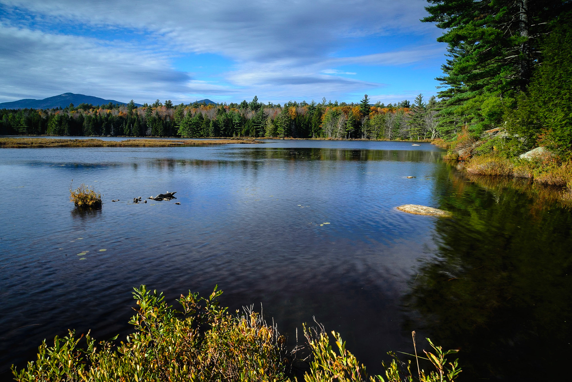 DTGD19097 Great Hill Pond, late fall