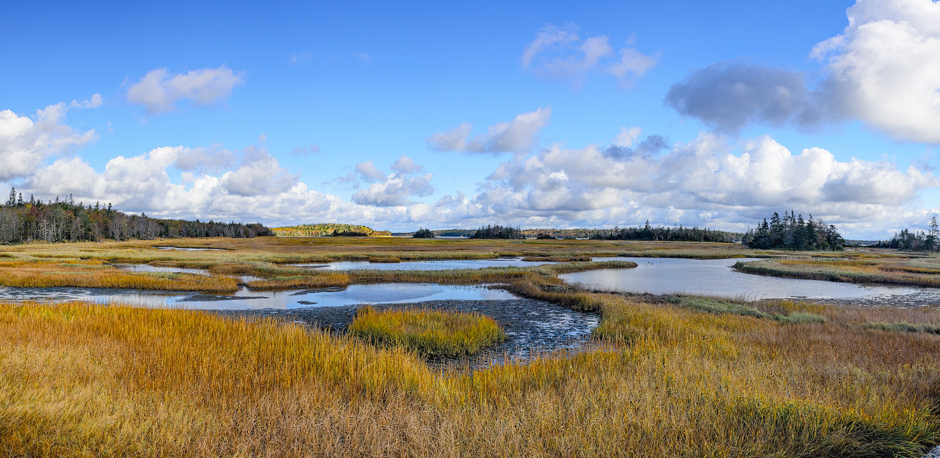 DTGD39121-Marsh Land