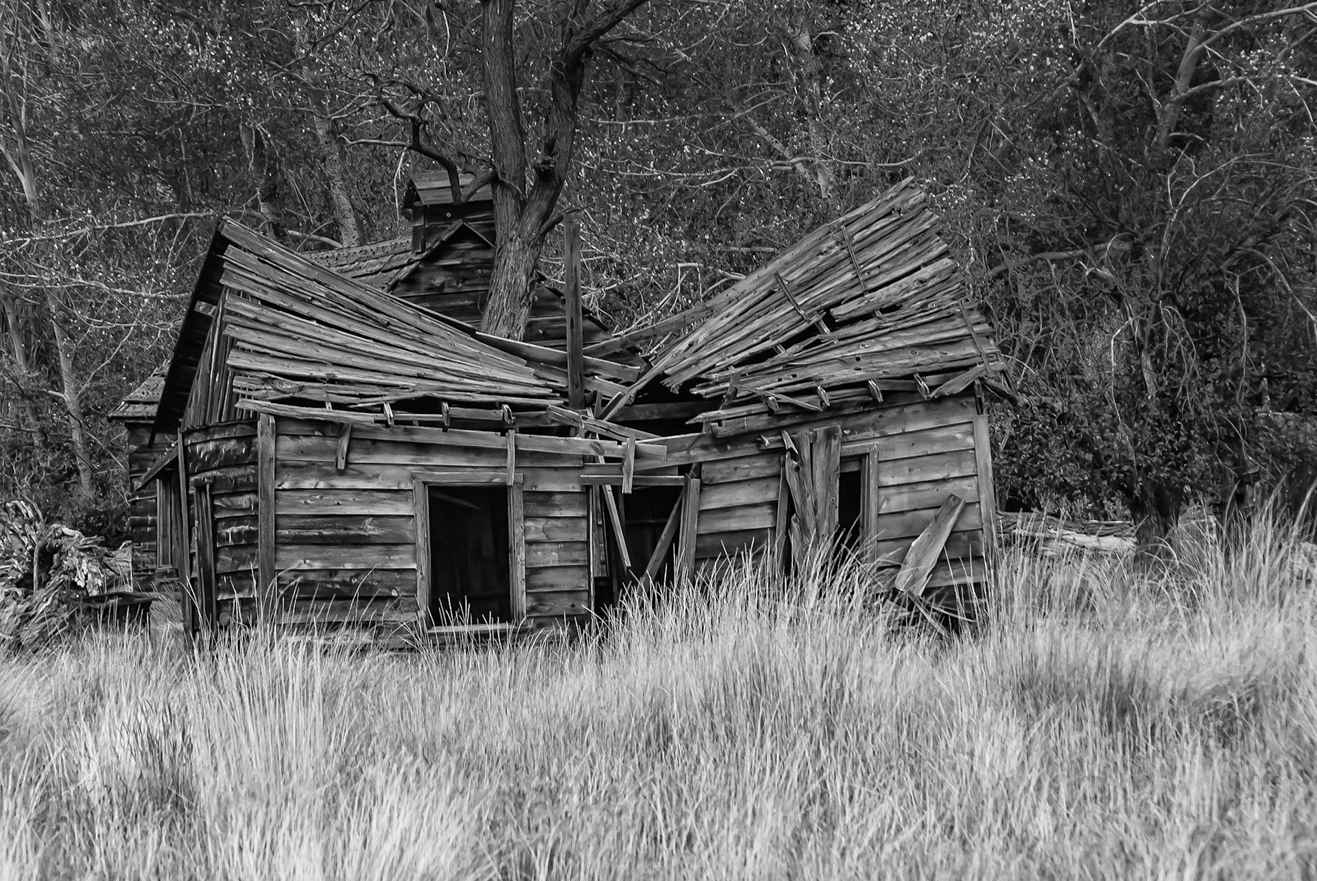 DTGD11215 Johnson Canyon, Gunsmoke Movie Set