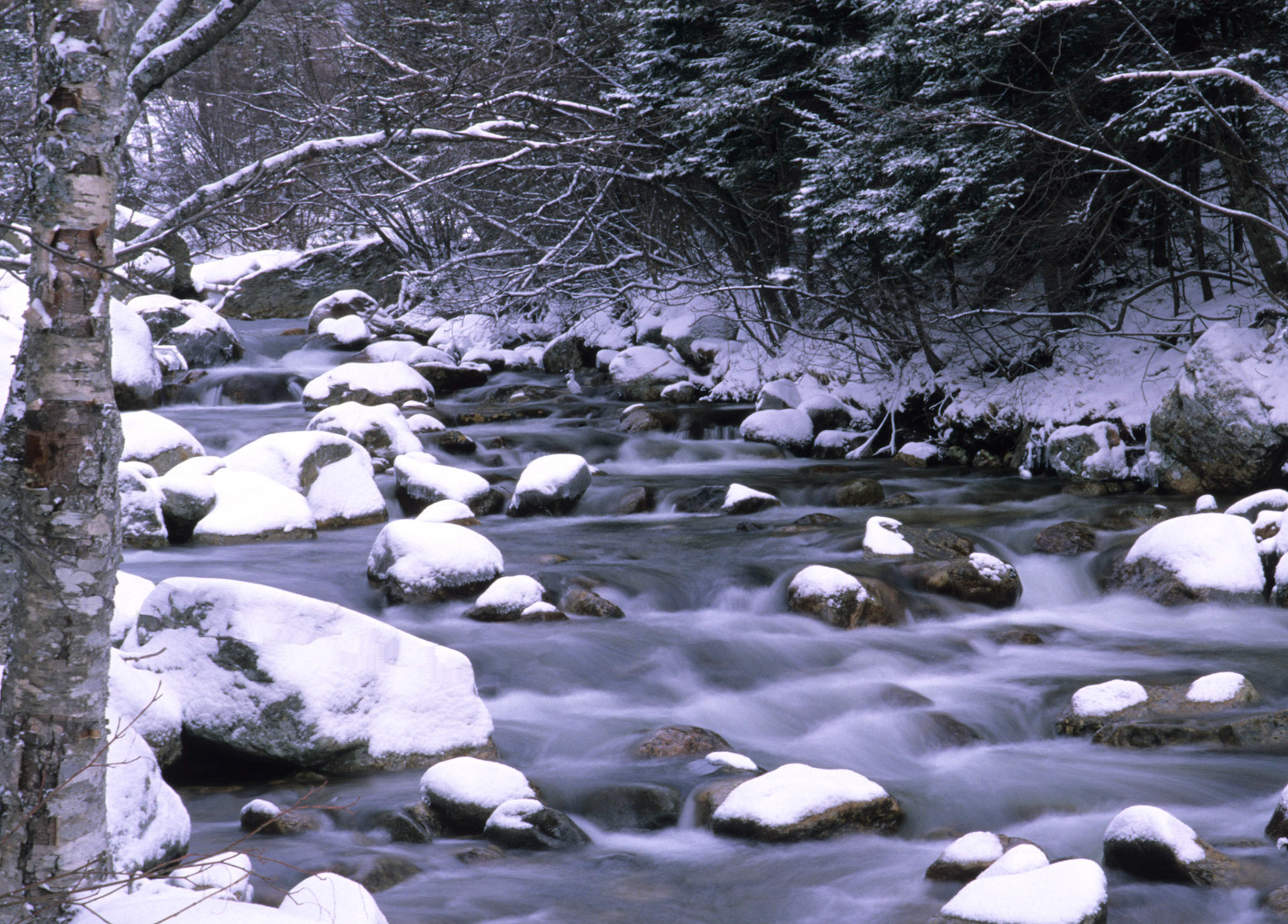 DTG00119 Ellis River Early Winter Snow