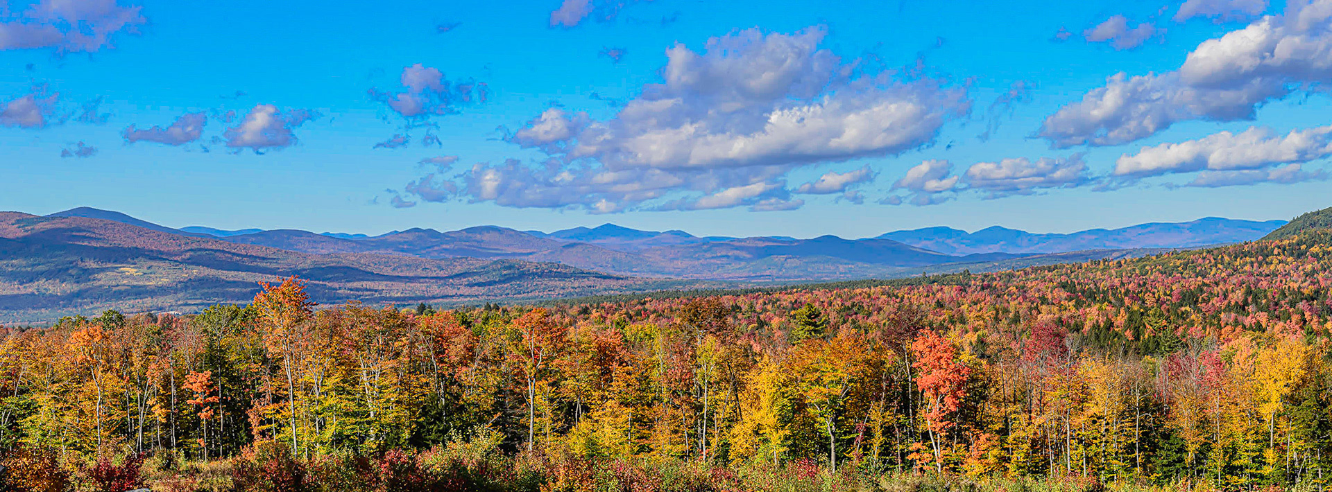 DTGD31771 Looking north from Brownfield Road