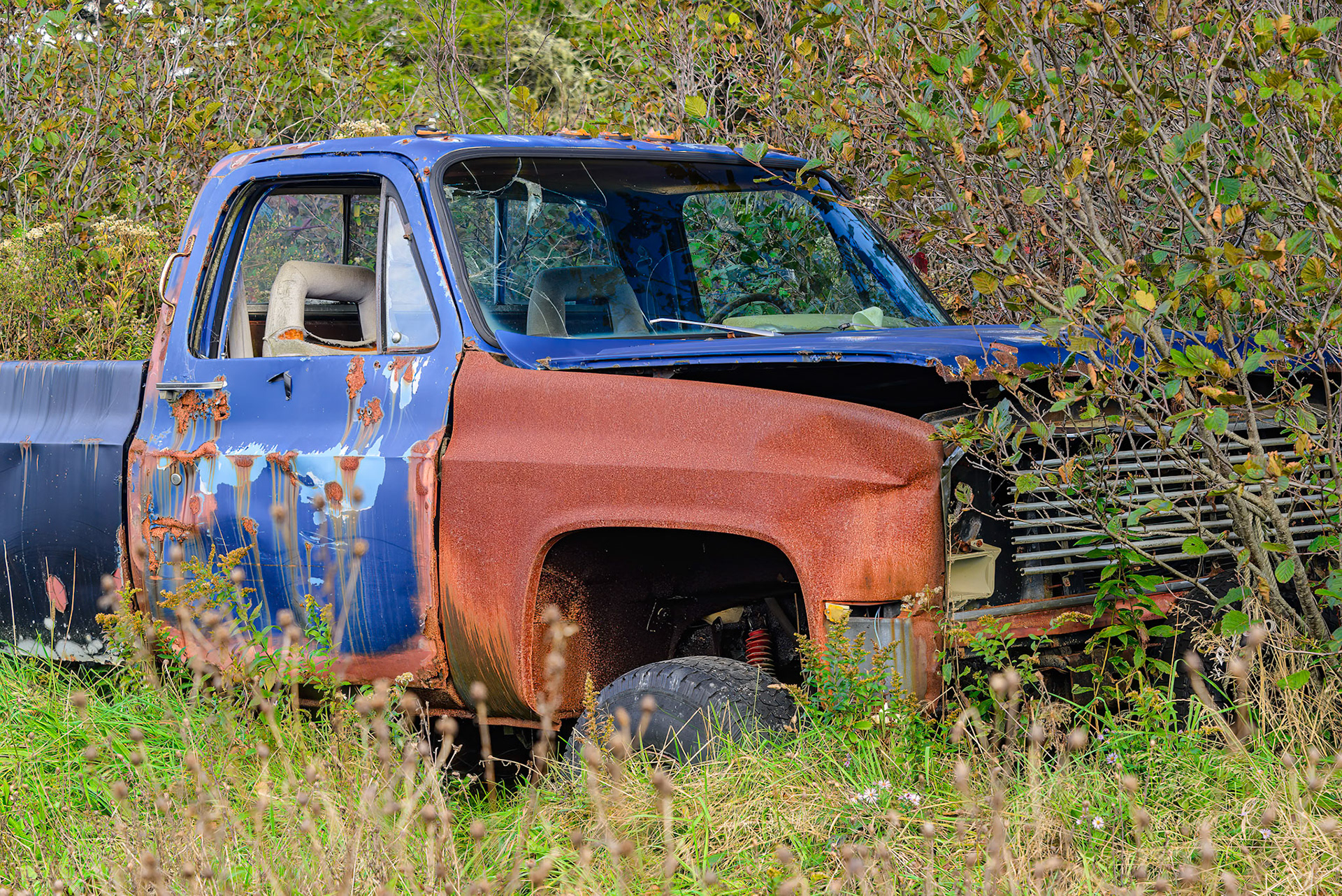 DTGD38965-Old Chevy Truck