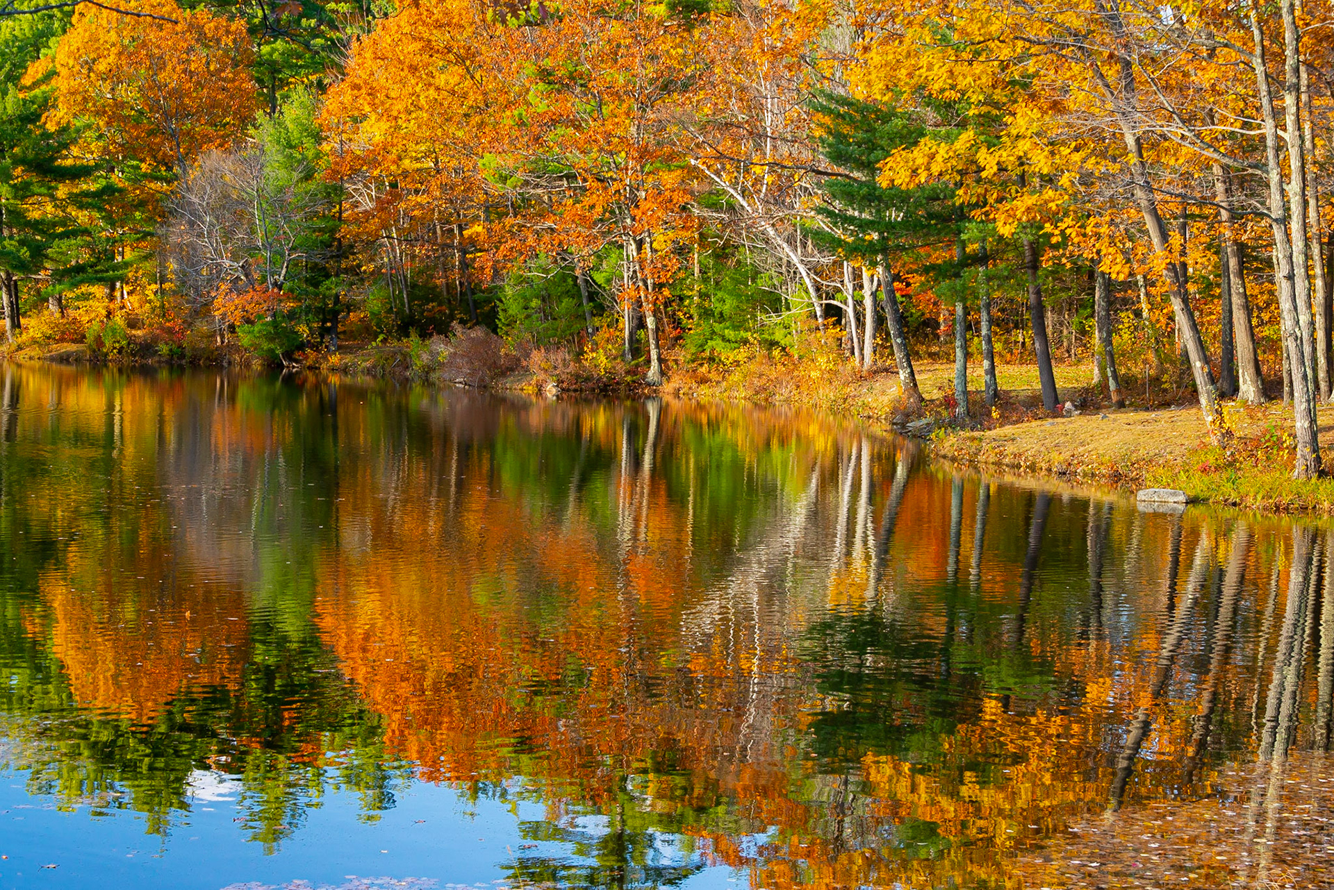 DTGD35189 Reflections in Unamed Pond