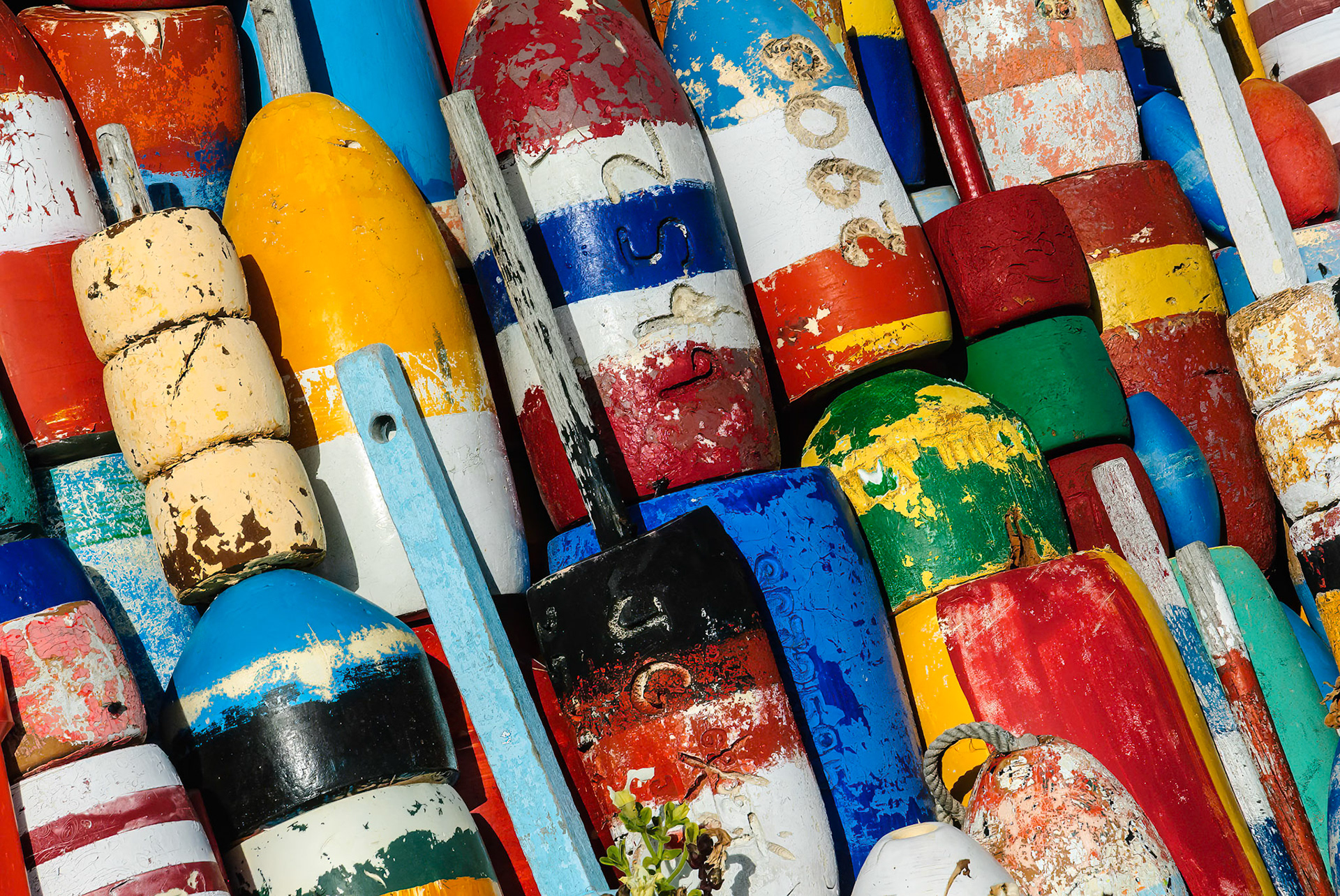 DTGD00907 Lobster Buoys