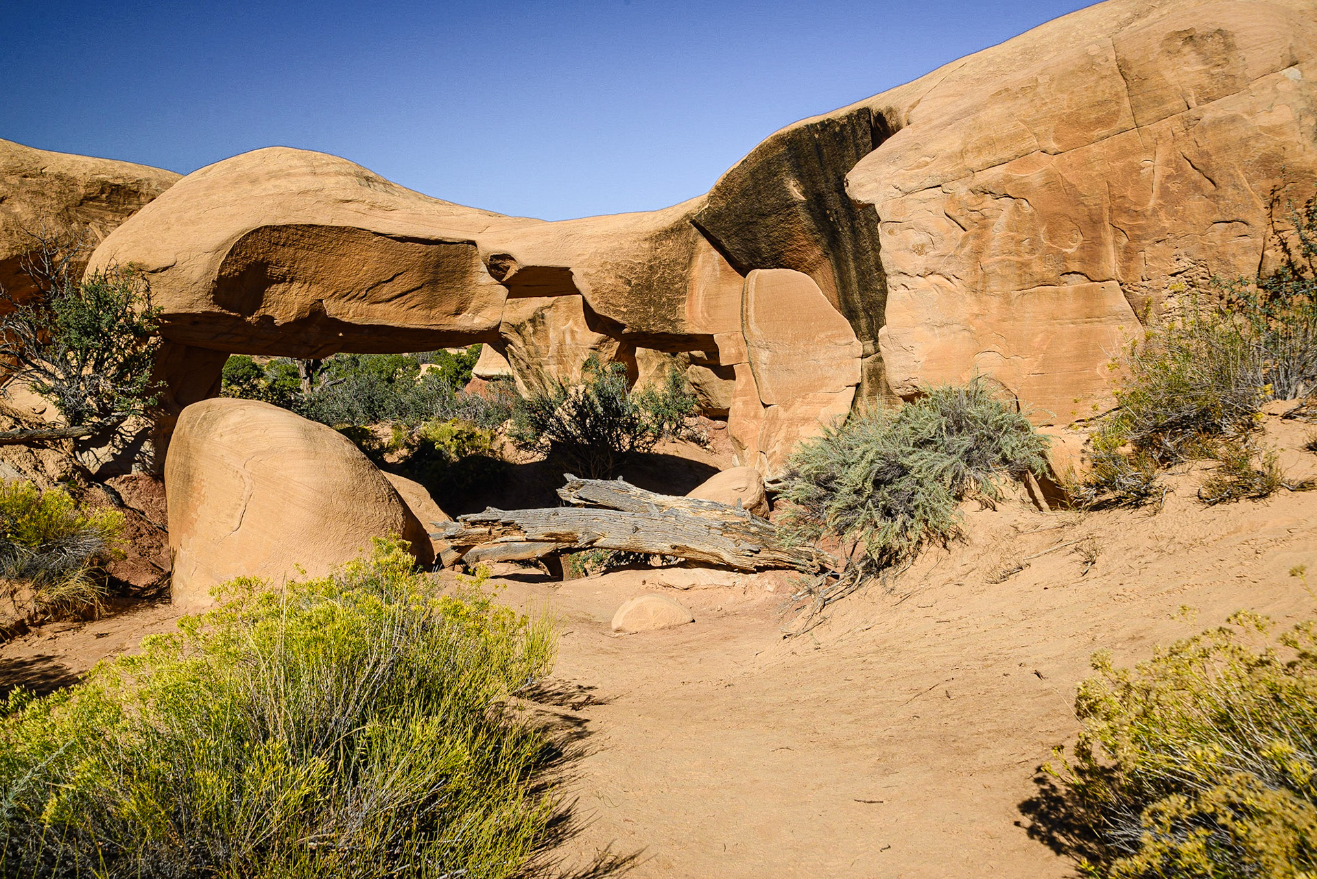 DTGD22029 Mano Arch in Devils Garden off Hole in The Rock Road, Escalante, UT