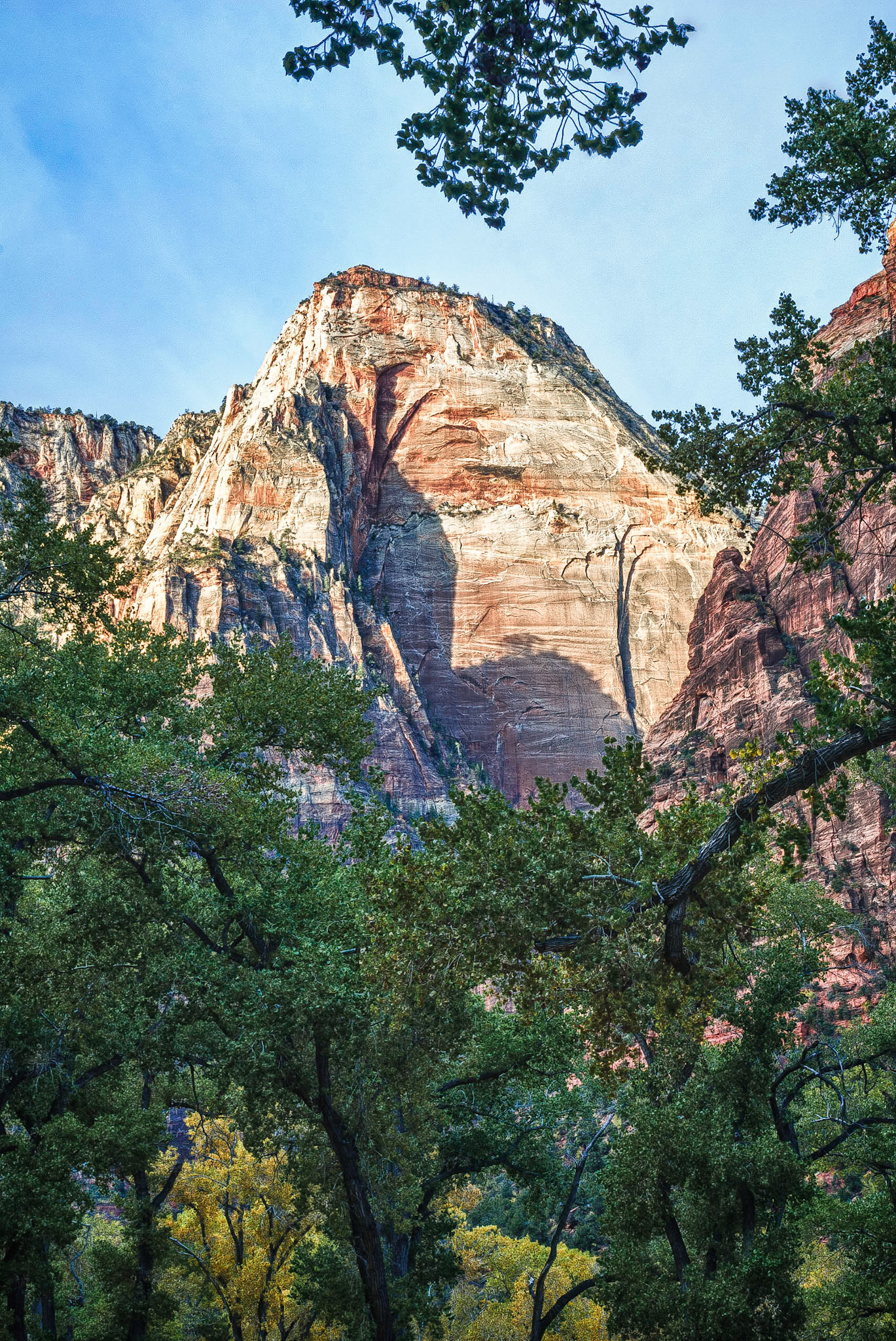 DTGD11072 Zion National Park