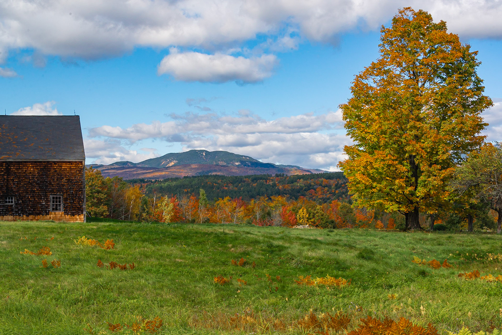 DTGD34980 Mount Whiteface