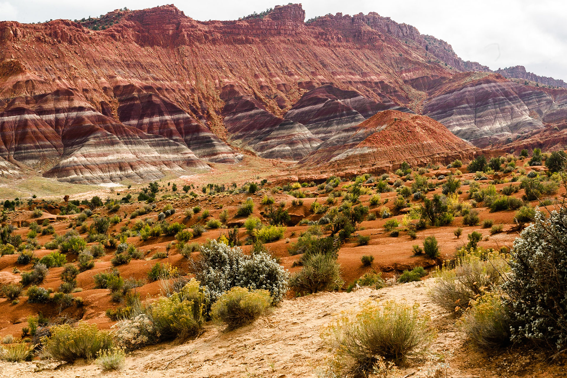 DTGD22525 Chinle formations in Paria, UT