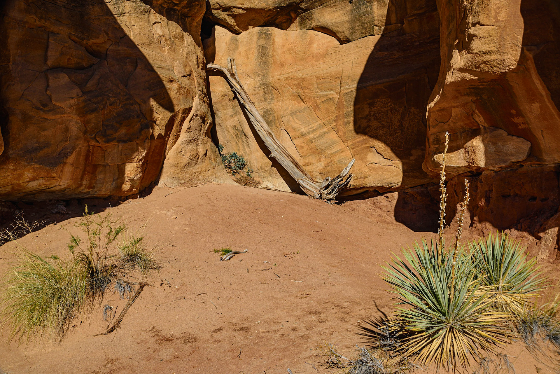 DTGD22024 Devils Garden, Escalante, UT