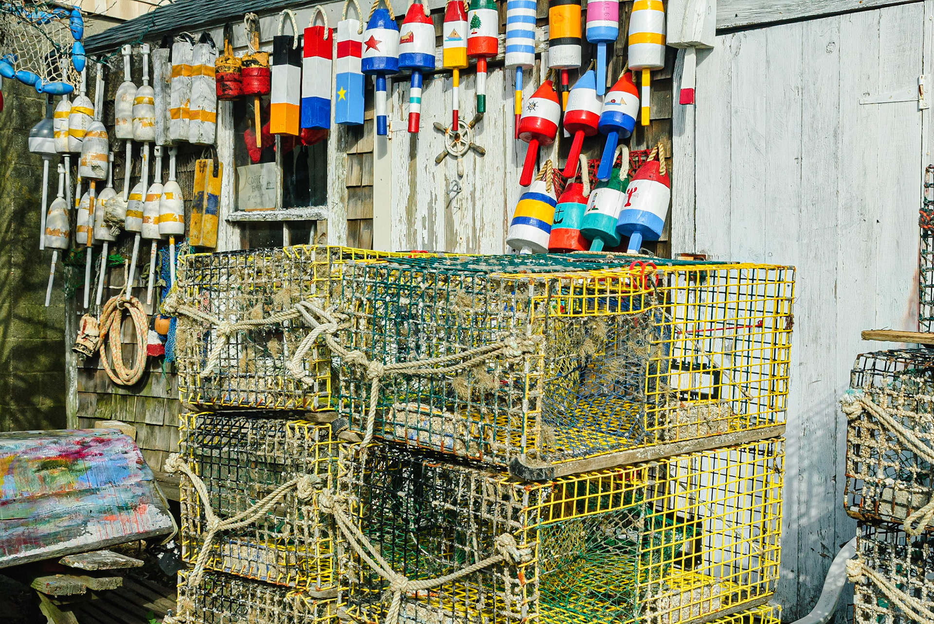 DTGD00904 Lobster Buoys