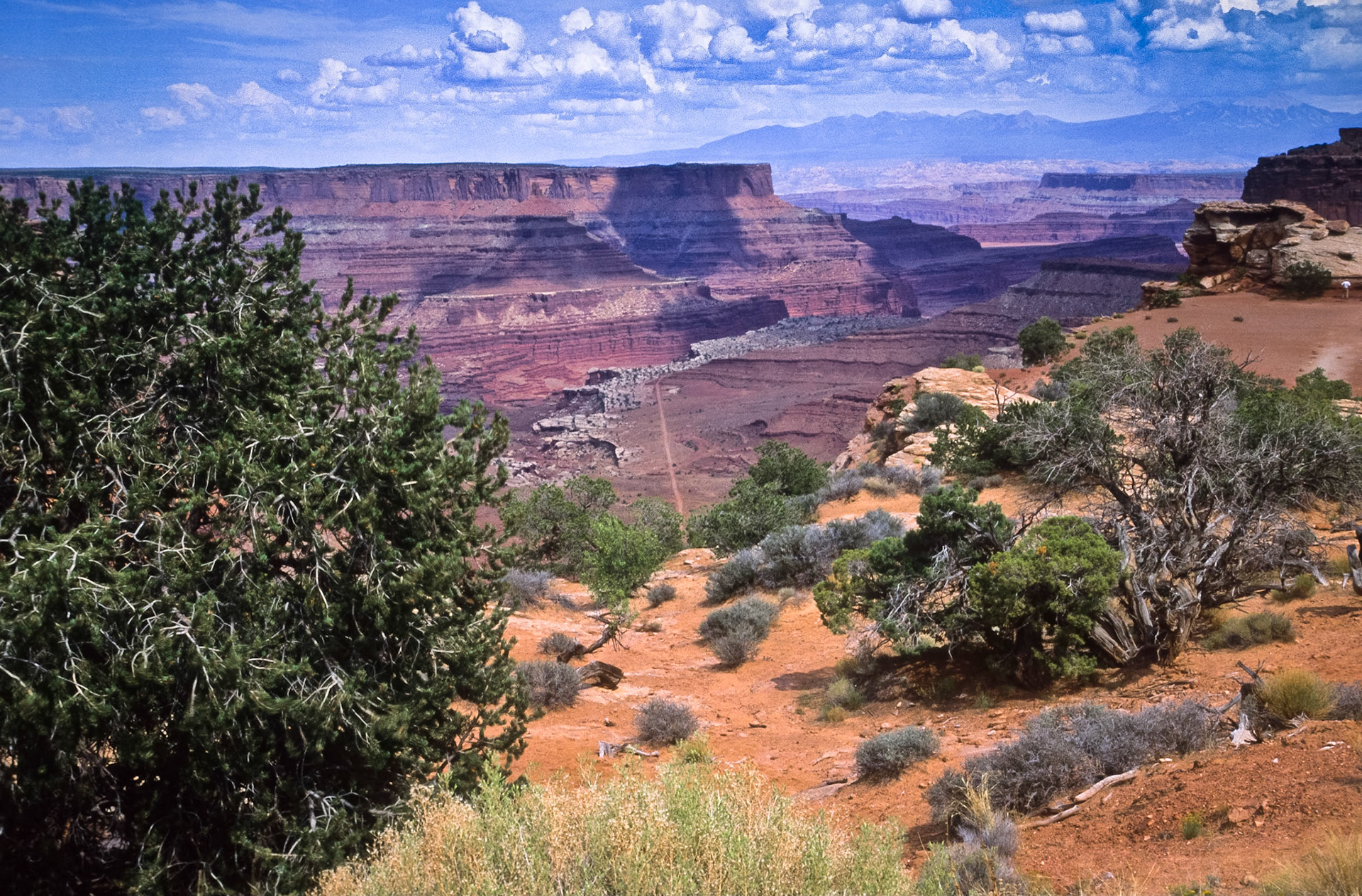 DTG06038 Canyonlands Nat'l Park