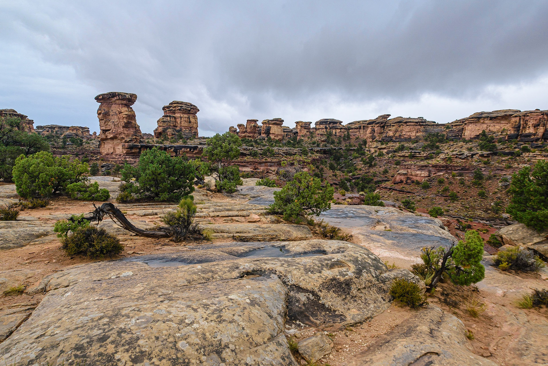 DTGD21773 Canyonlands Nat'l park in the Needles area on rainy day.