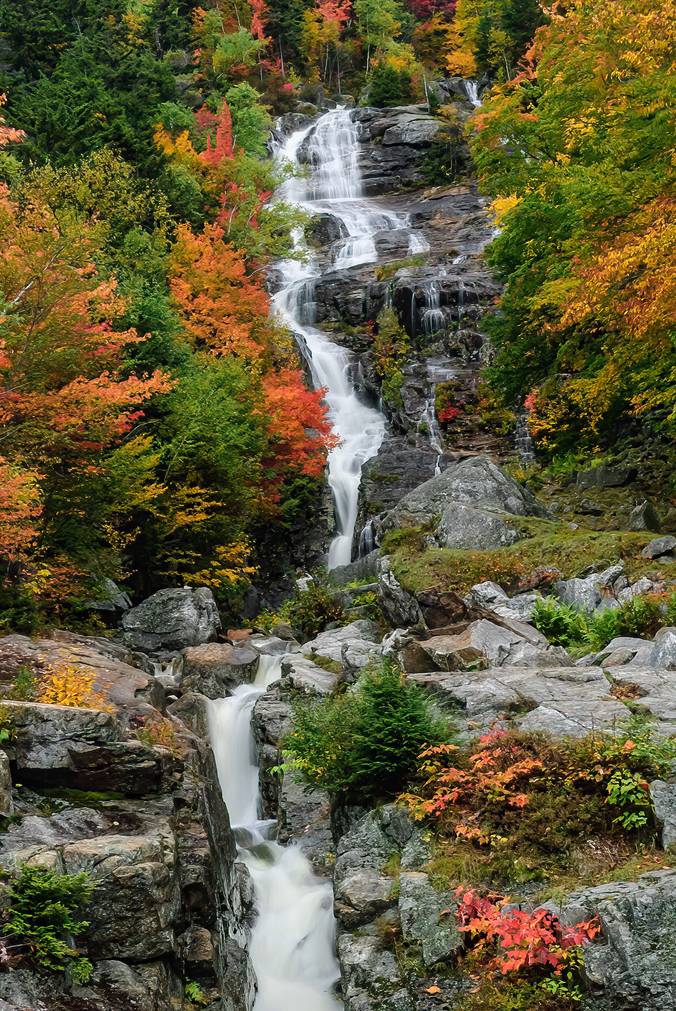 DTGD01586 Siver Cascade, NH