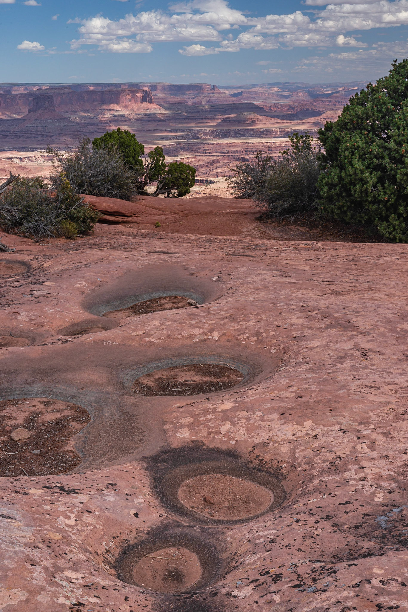 DTGD21747 Canyonlands Nat'l Park