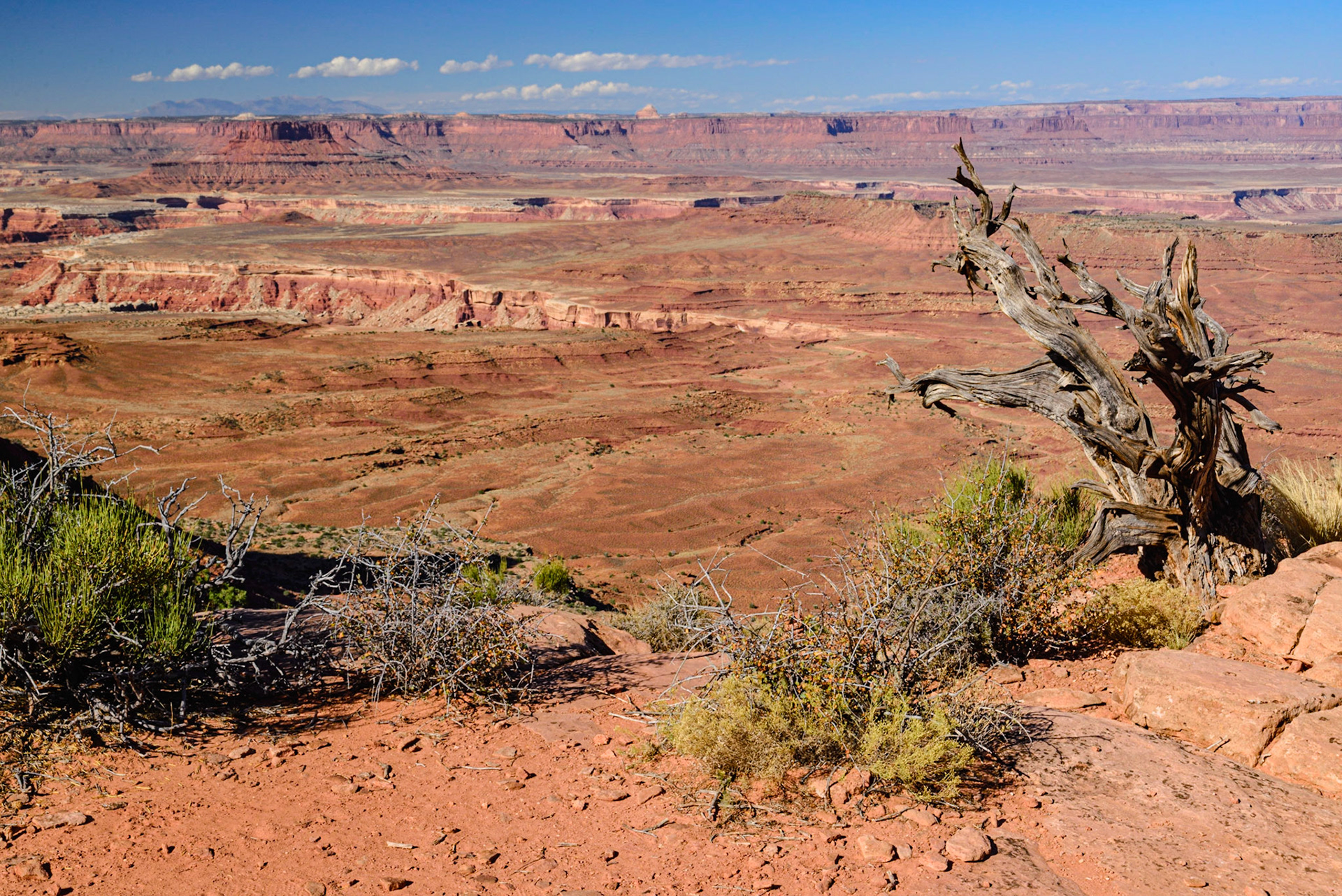 DTGD21721 Canyon Lands Nat'l Park