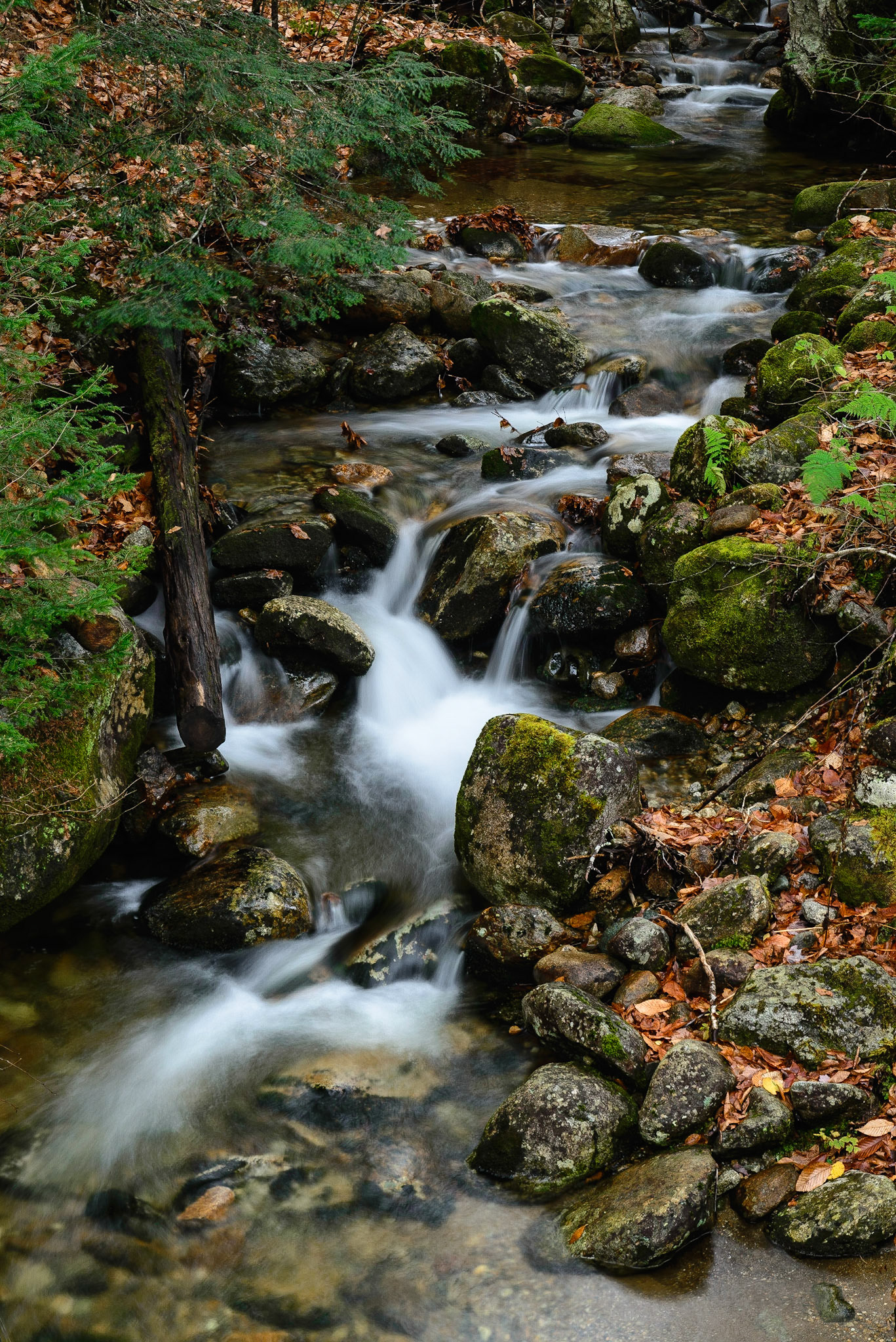 DTGD19122 Assaguam Brook, Mount Clinton Road