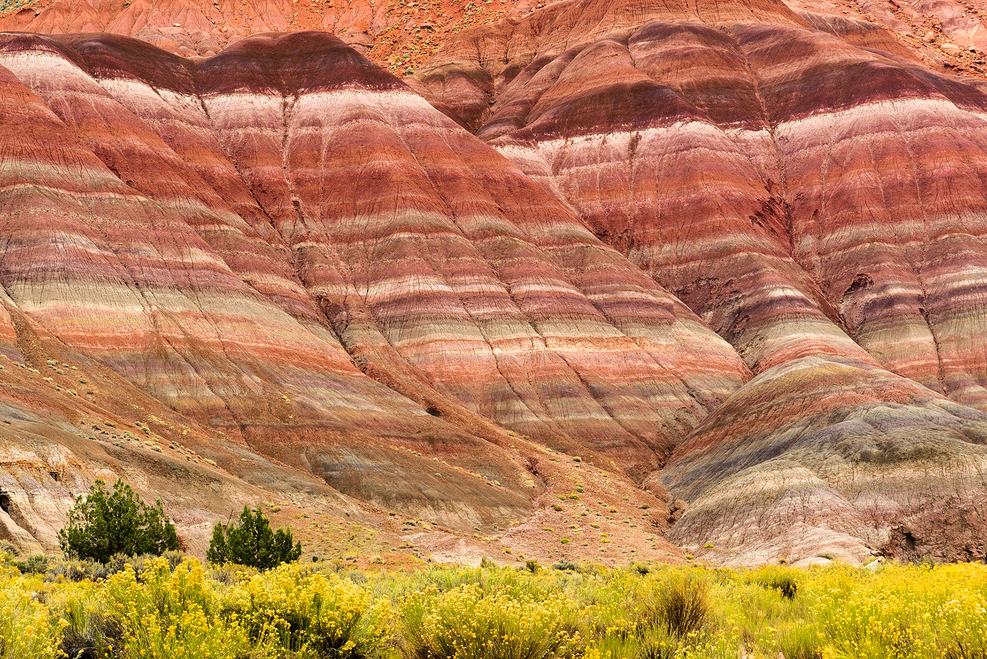 DTGD22522 Chinle formations in Paria, UT