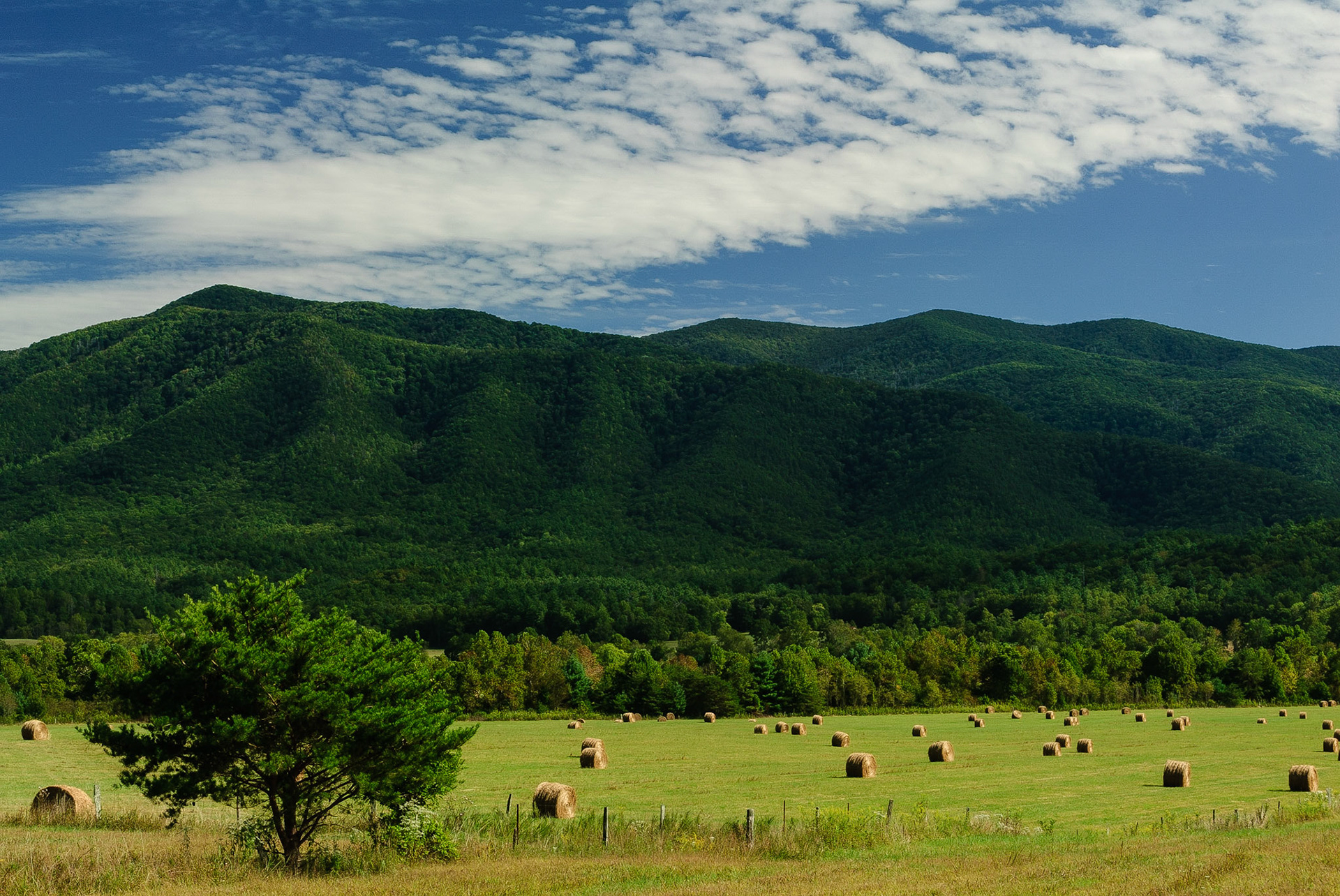 DTGD06277 Cades Cove