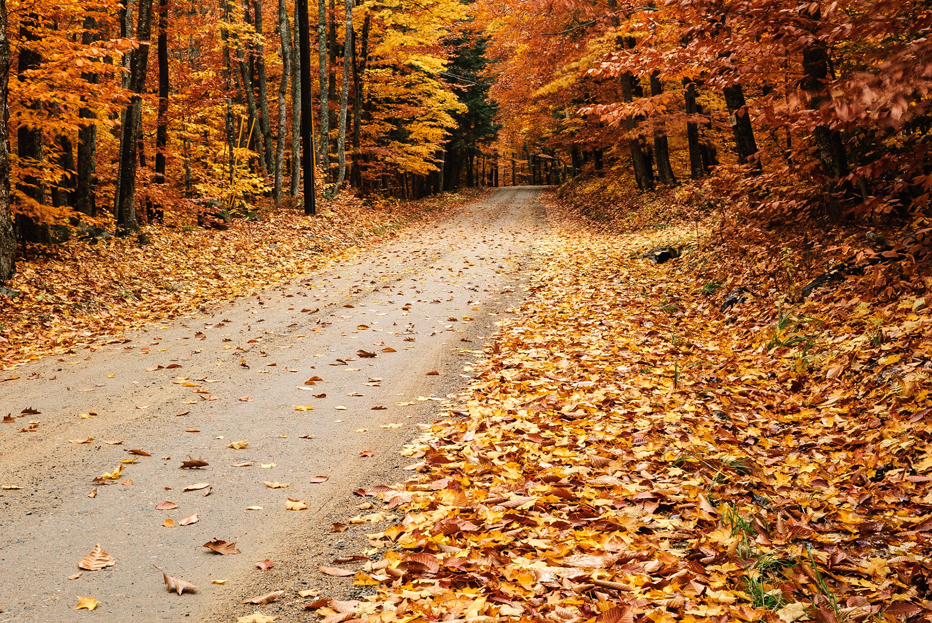 DTGD04162 Brown Hill Road in Fall, NH