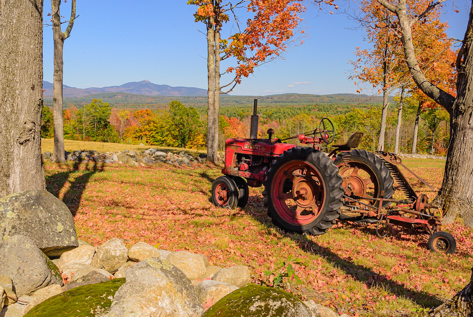 DTGD33679-Old Farmall Tractor