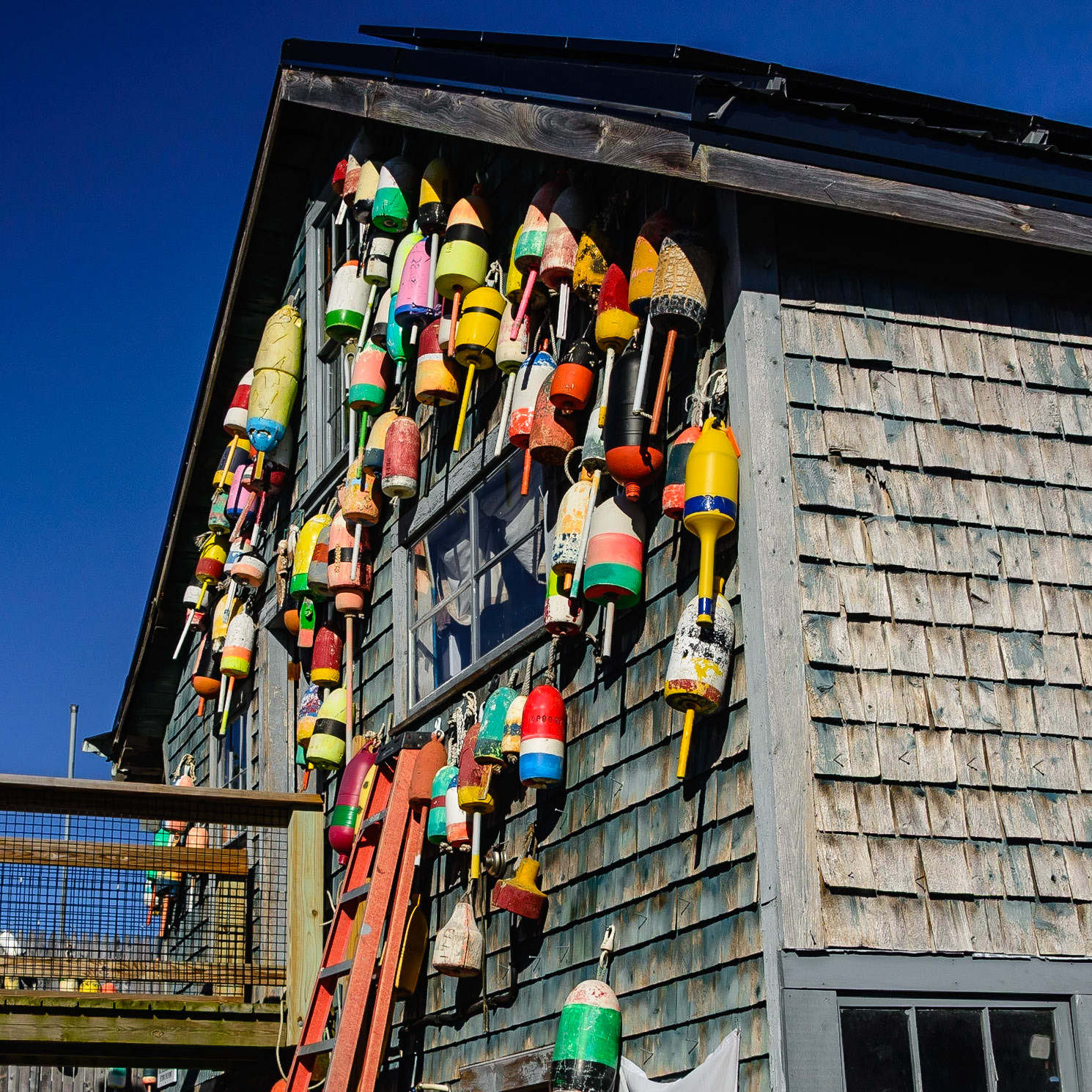 DTGD25094 Lobster Bouys