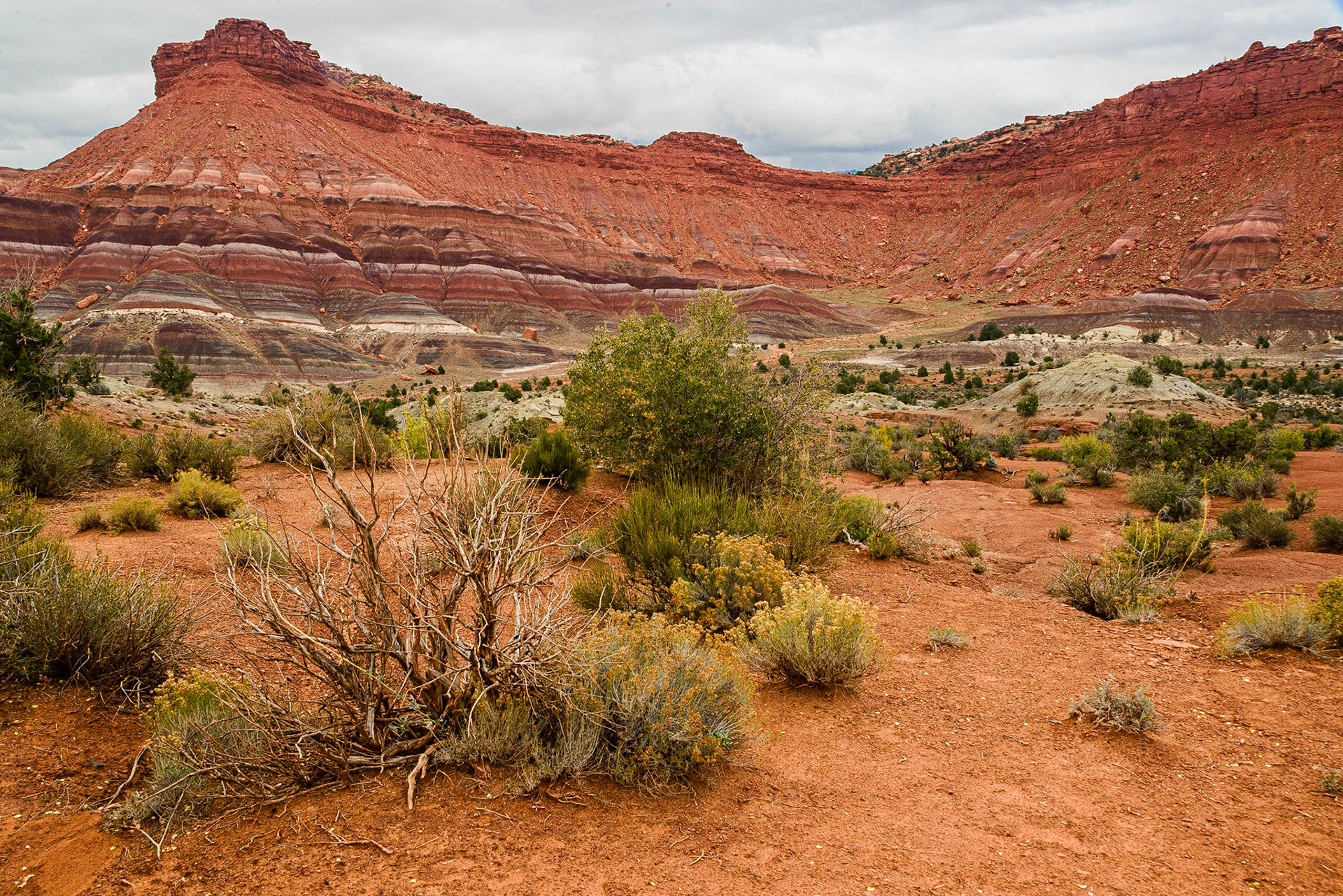 DTGD22518 Chinle formations in Paria, UT
