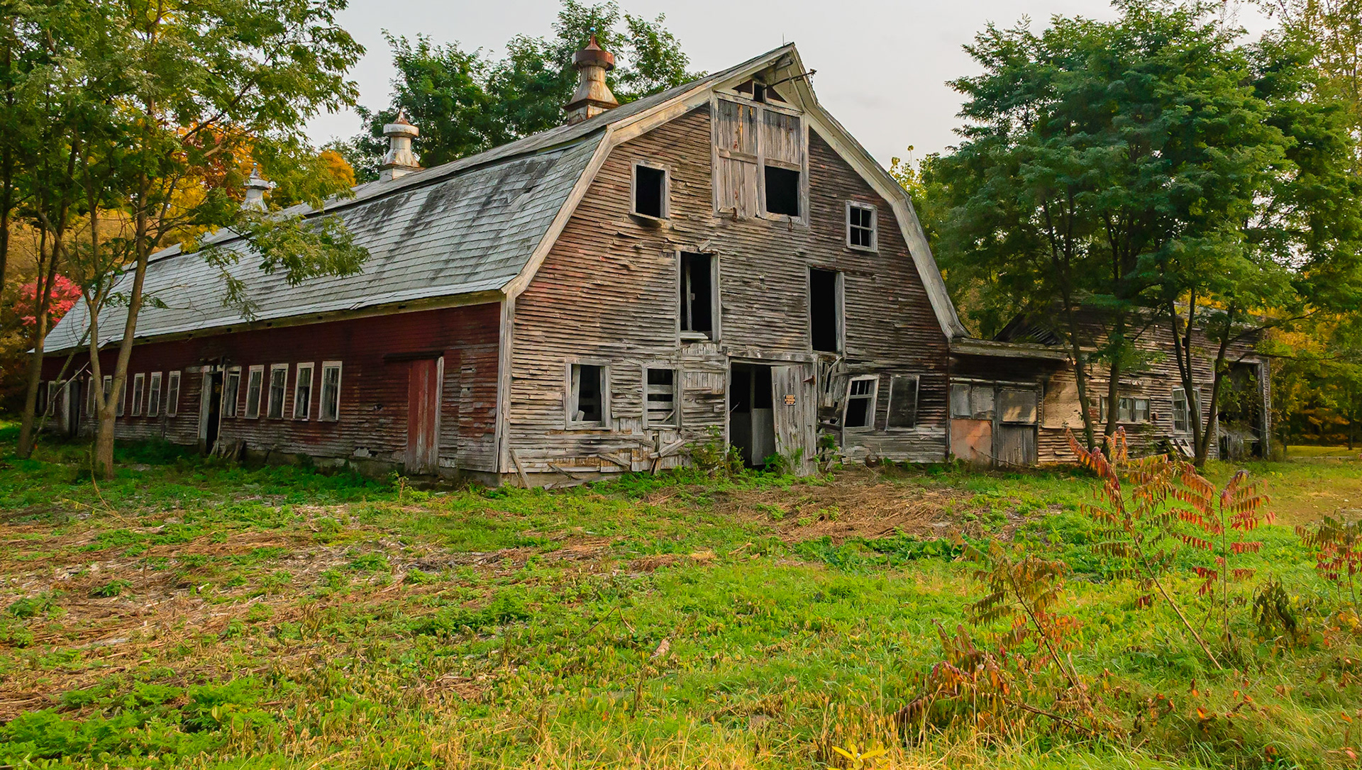 DTGD33557 Vermont Farm Buildings