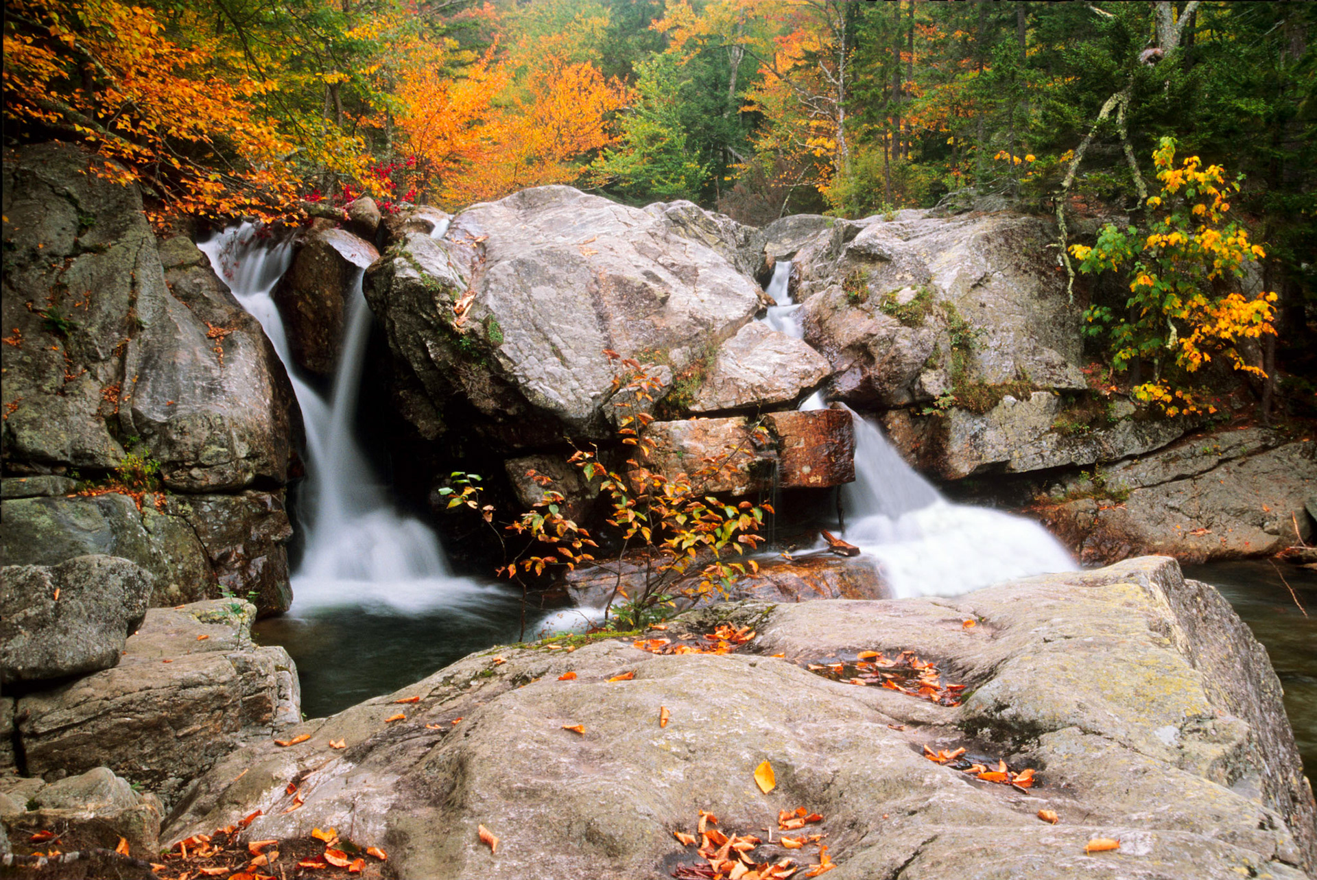 DTG00131 Lower Glen Ellis Falls