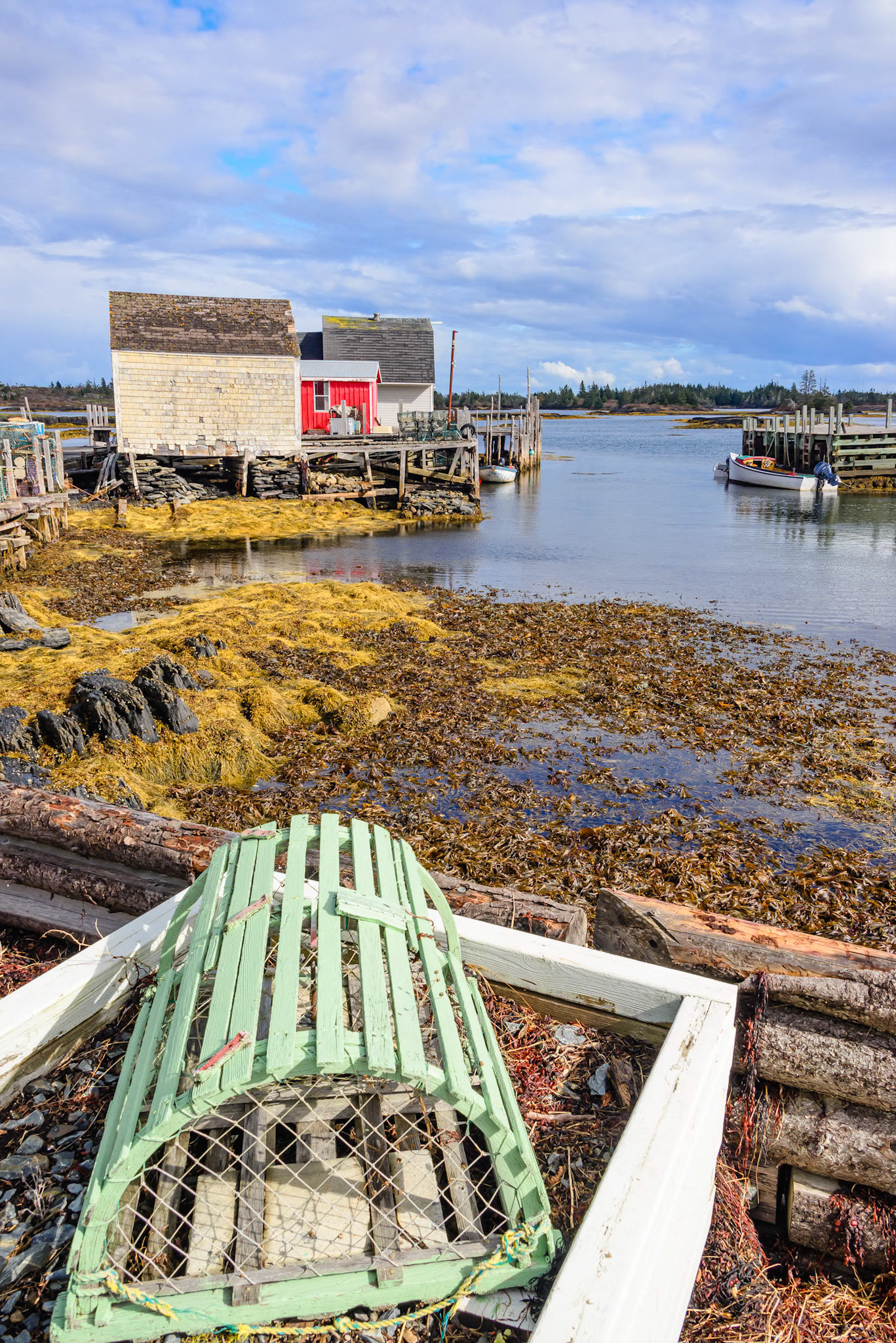 DTGD39229-Blue Rocks Docks